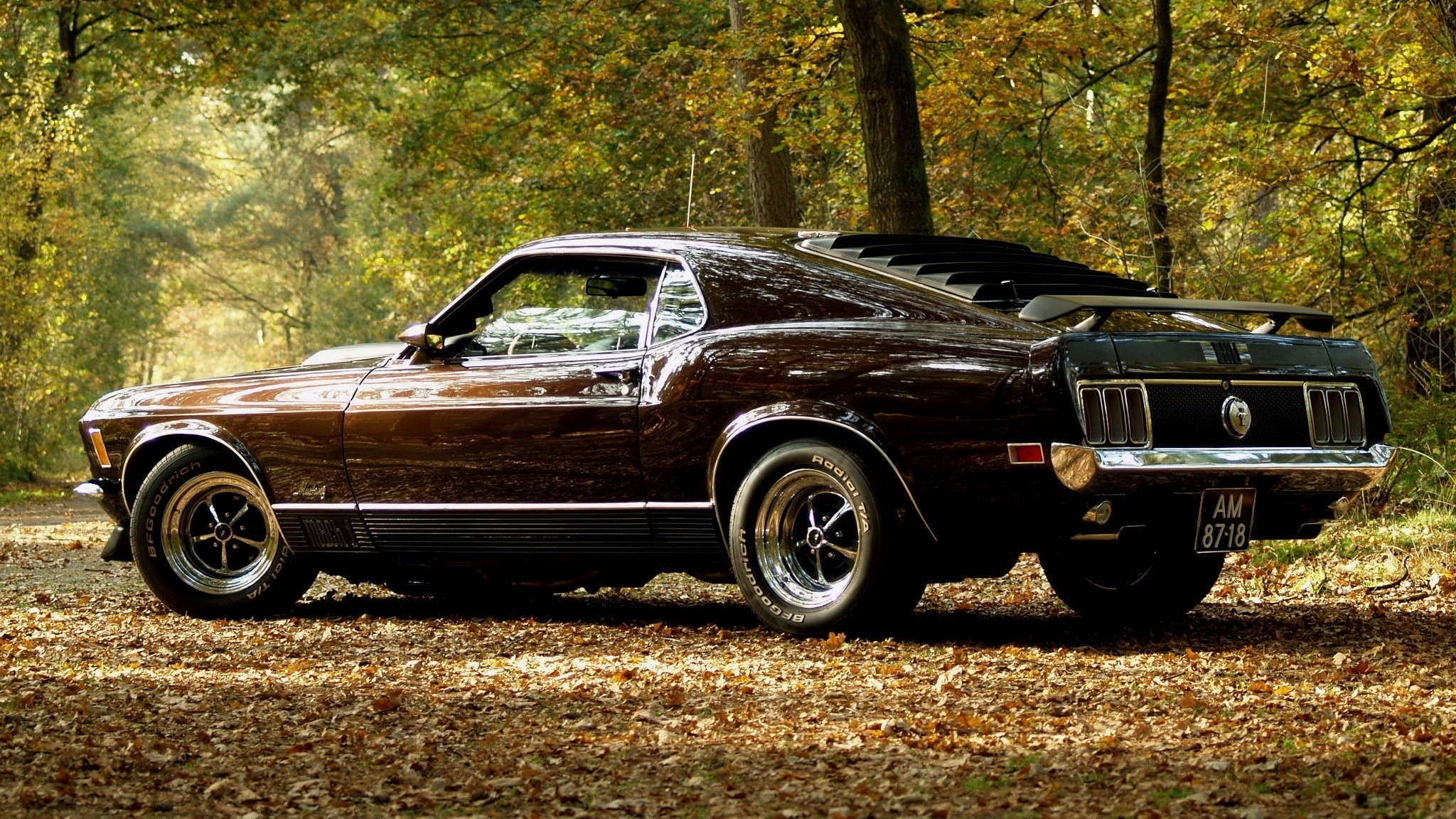 Classic ford mustang wallpaper