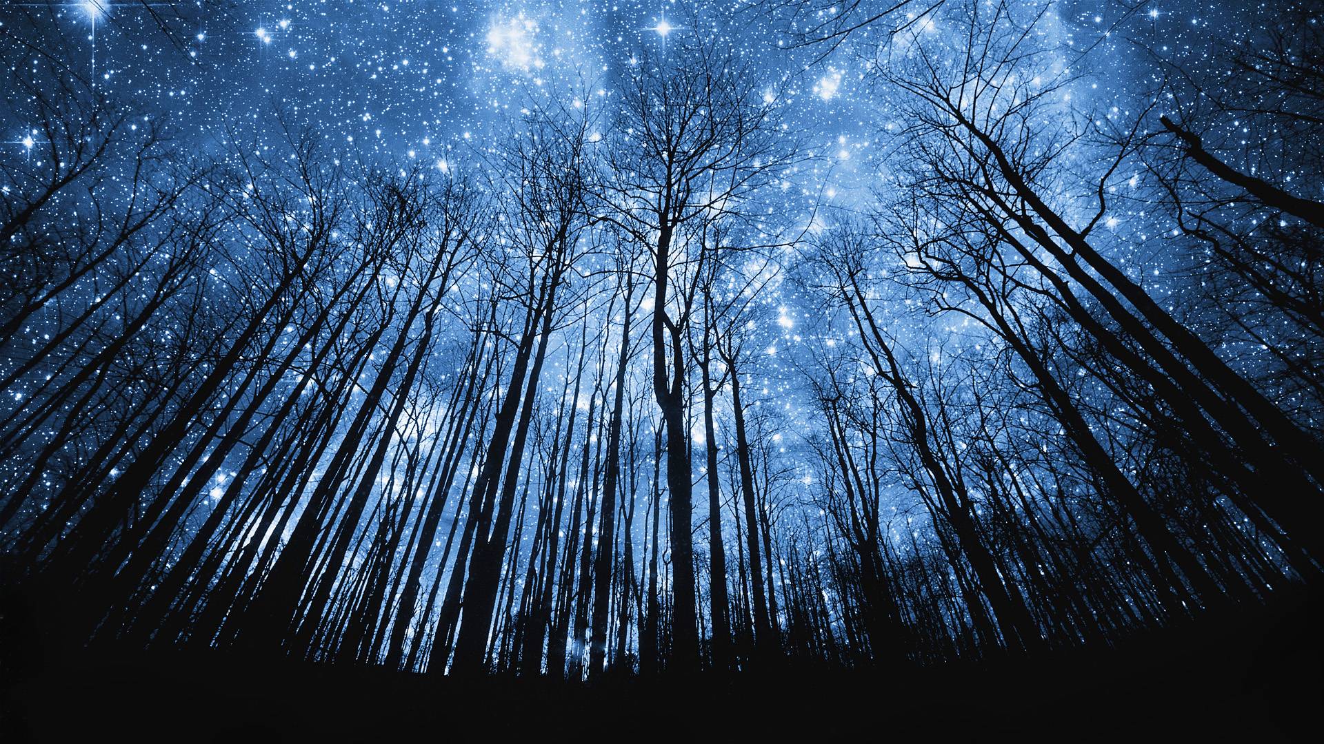 Night sky desktop wallpaper