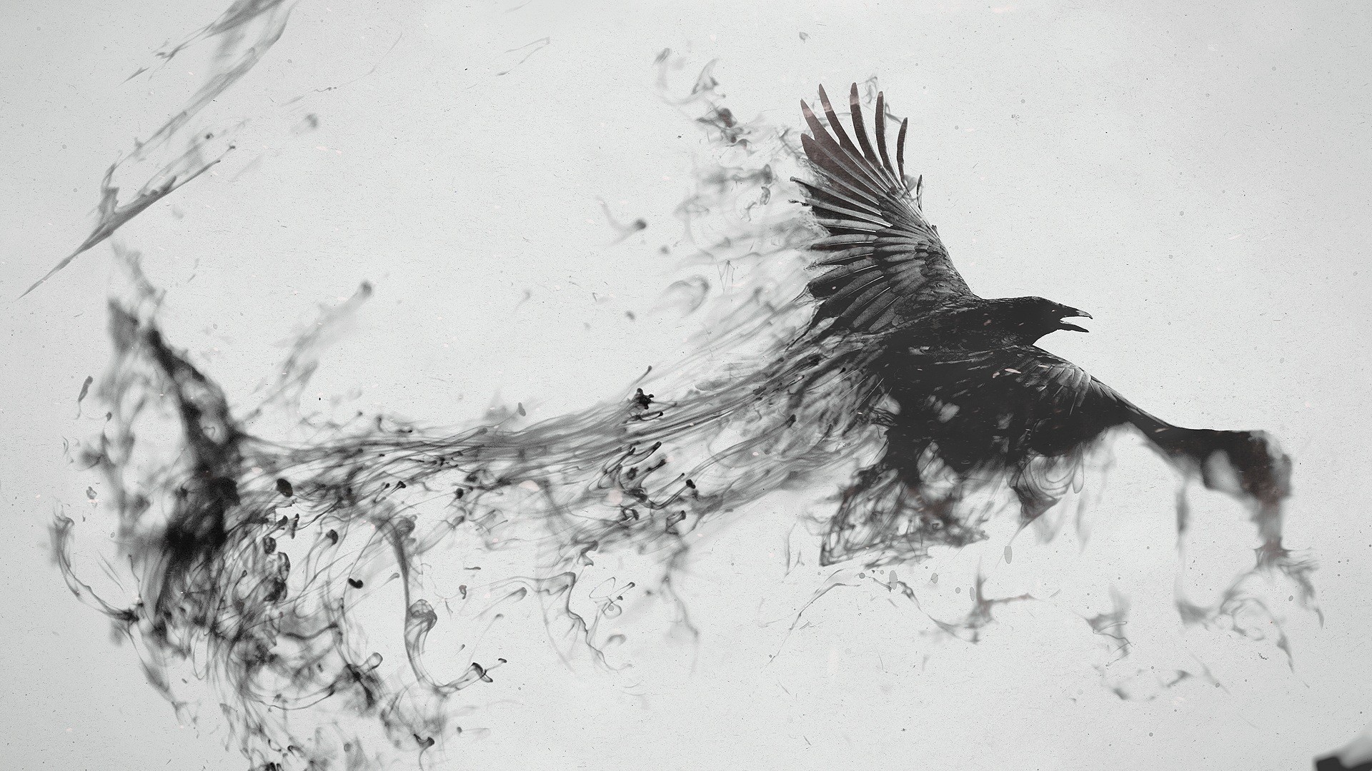 Crows wallpaper