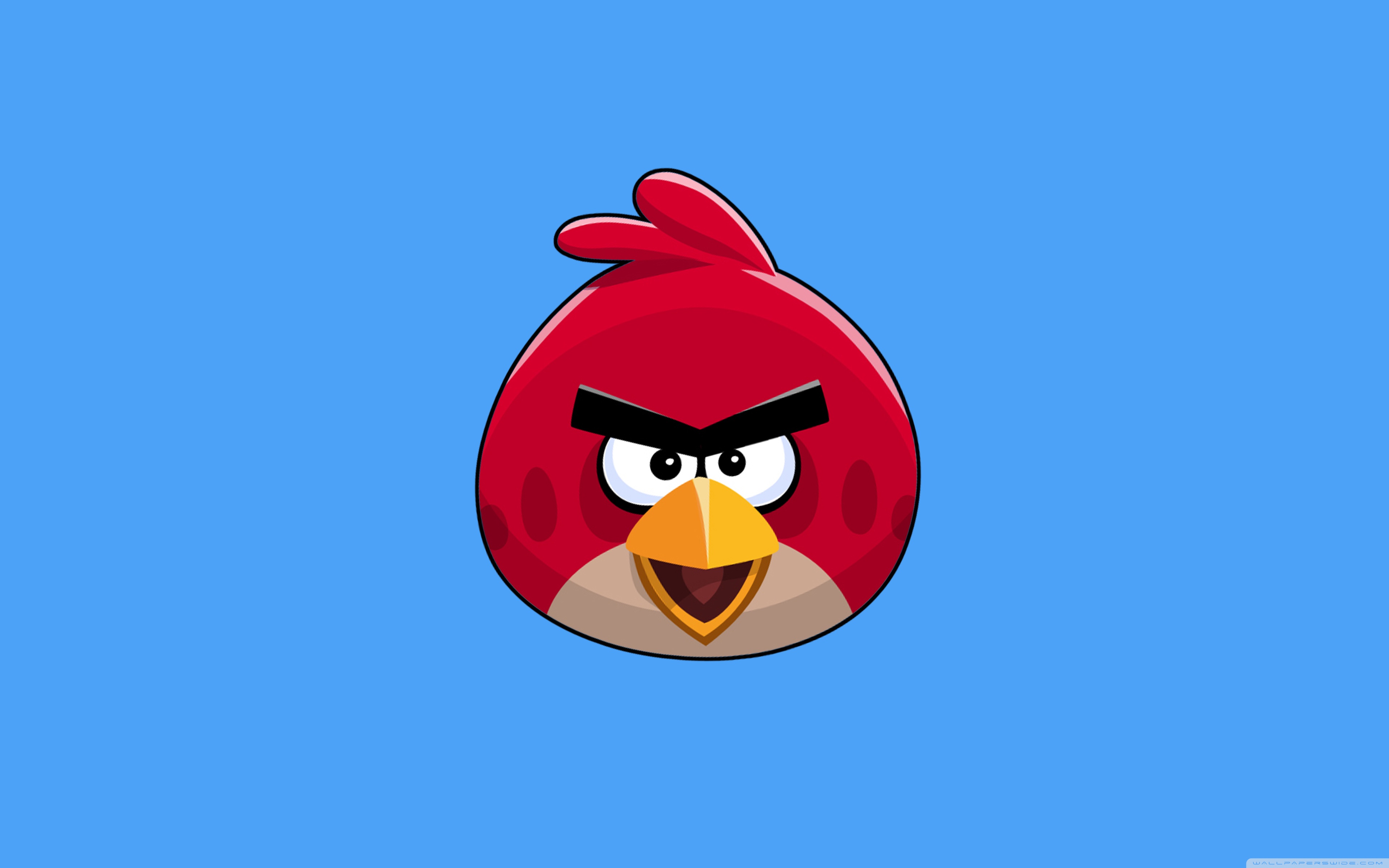 Angry birds hd wallpapers