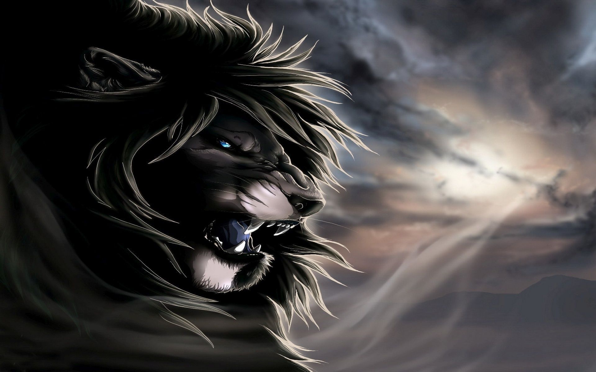 angry lion hd wallpaper #14