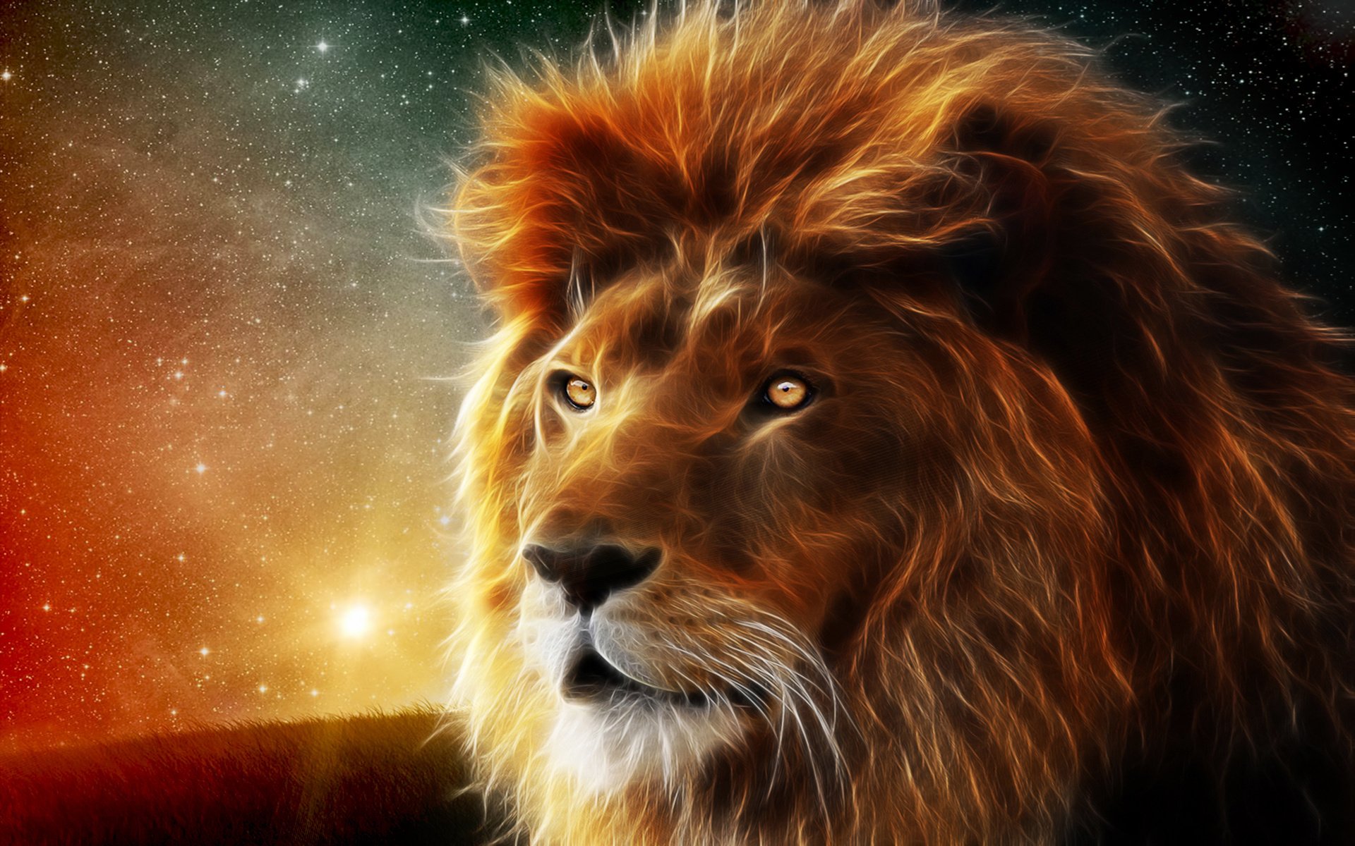 angry lion hd wallpaper #12