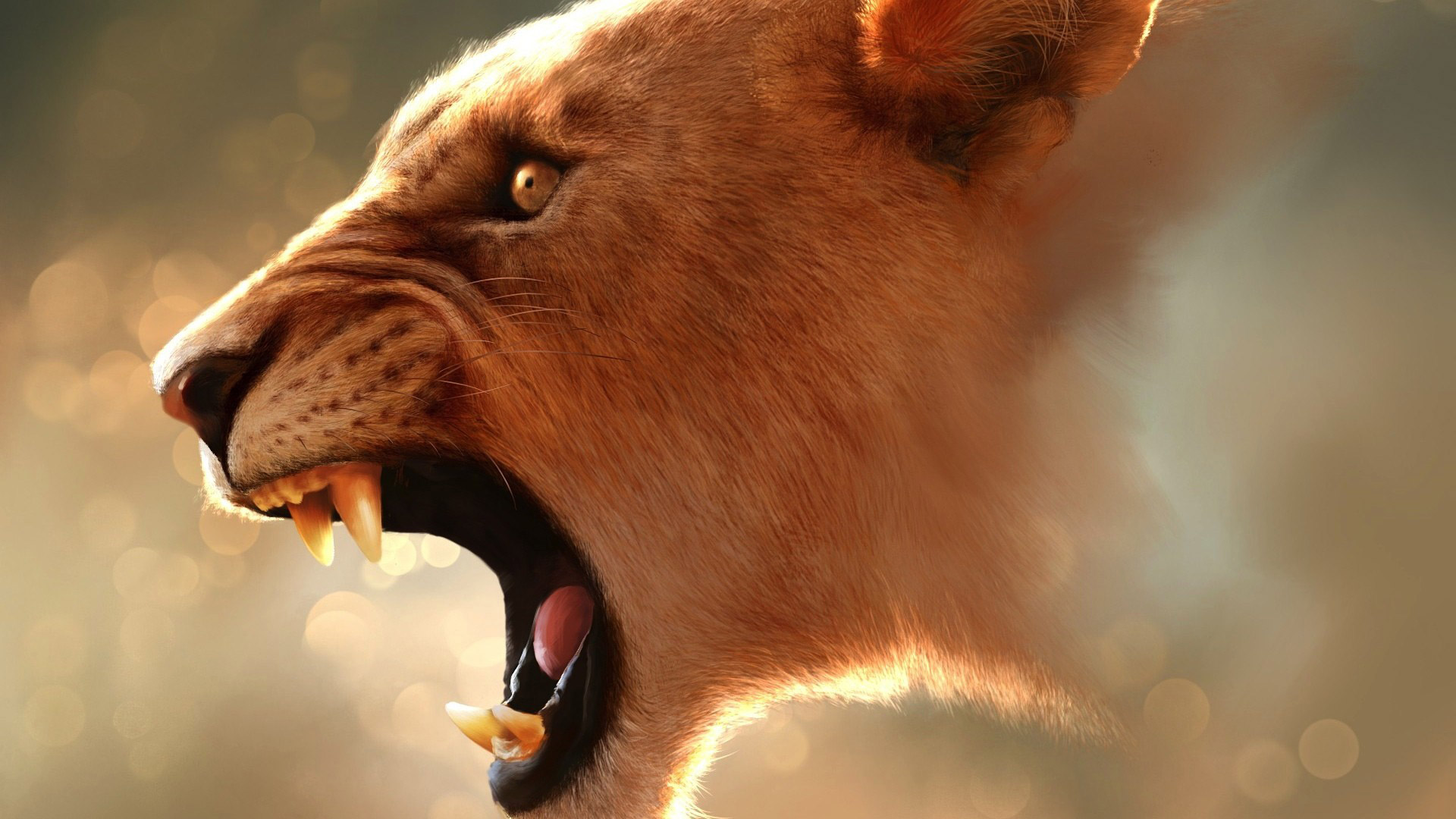 angry lion hd wallpaper #17