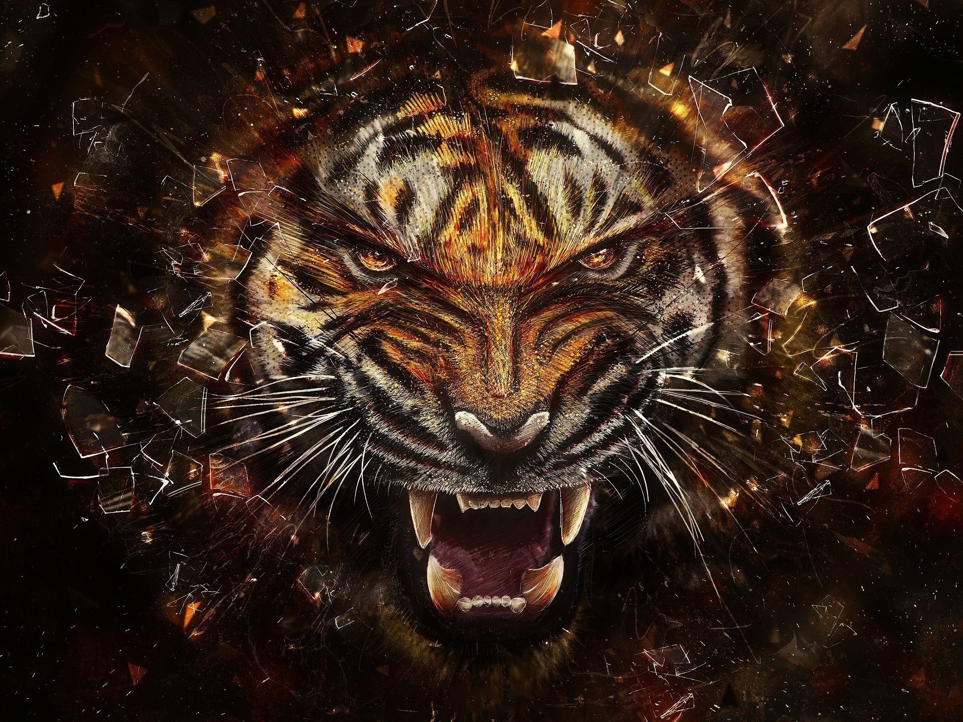 Tiger backgrounds