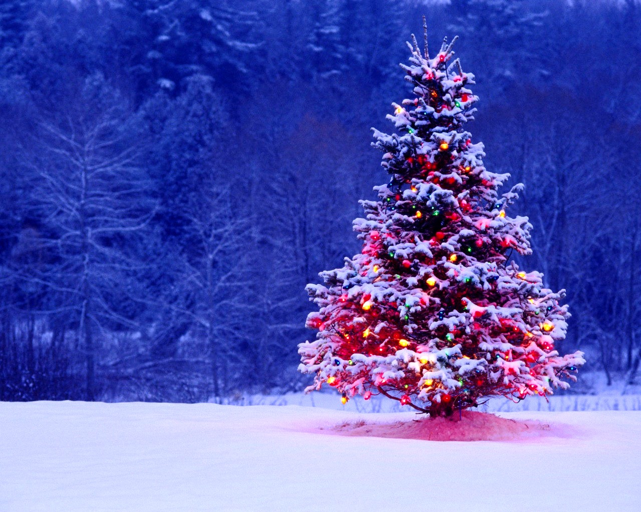 25 Animated christmas wallpapers free download