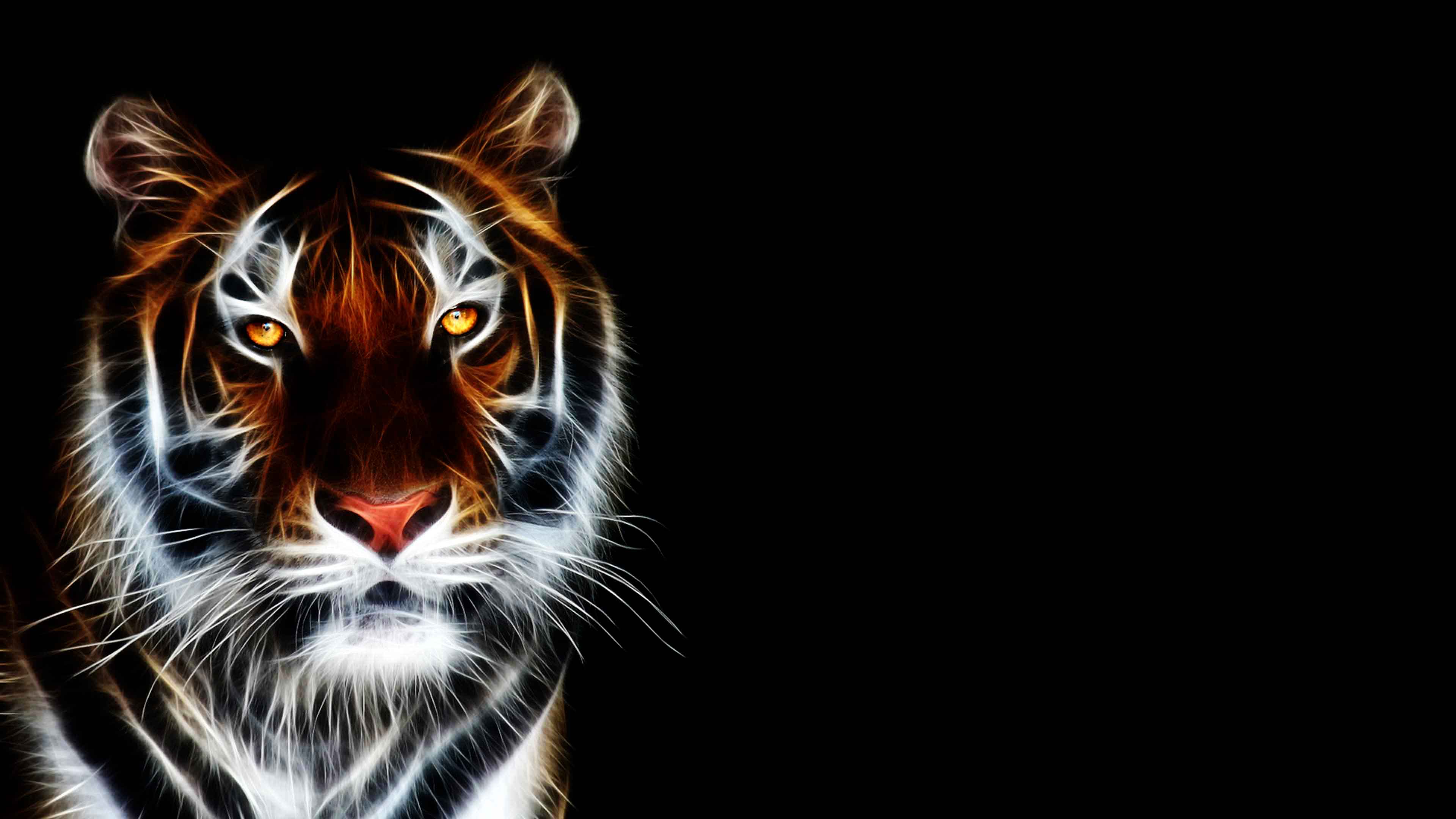 tiger wallpaper #7