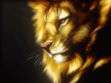animated lion wallpaper #9