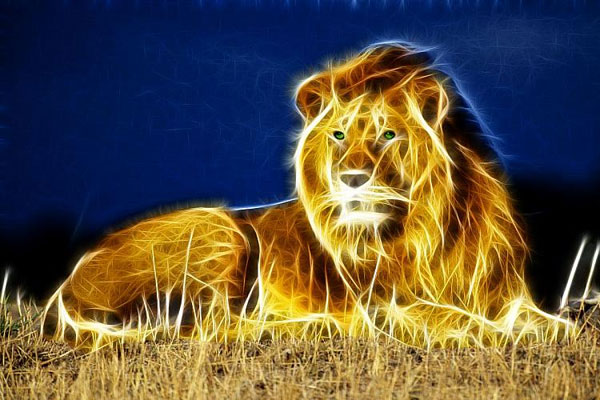 animated lion wallpaper #11