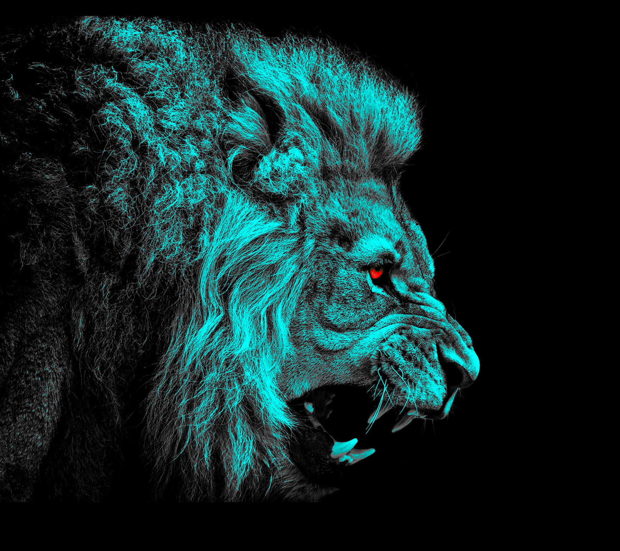 wallpaper of lion #14