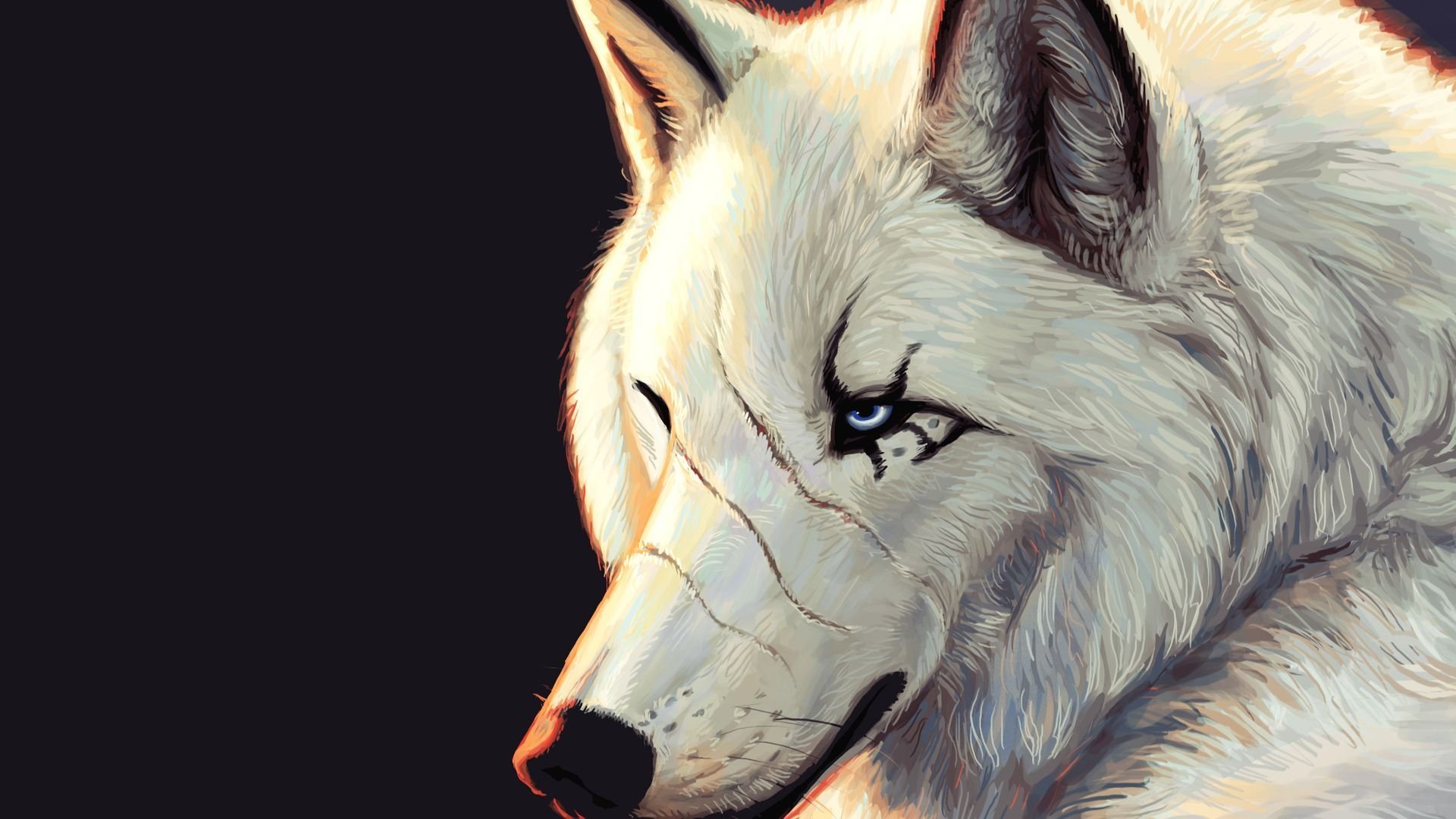 Animated wolf wallpapers