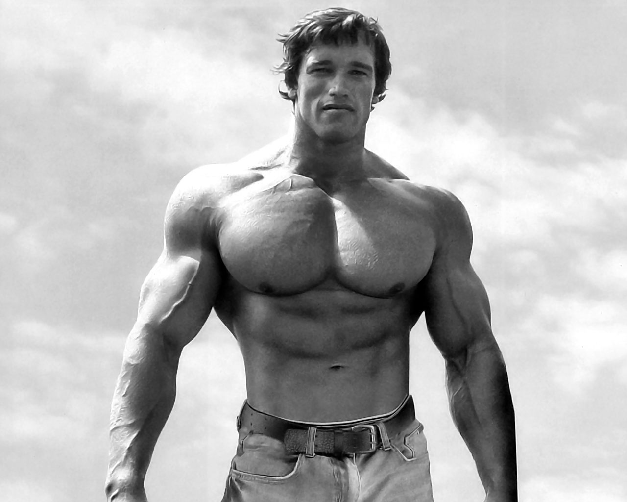 Arnold schwarzenegger bodybuilding wallpaper