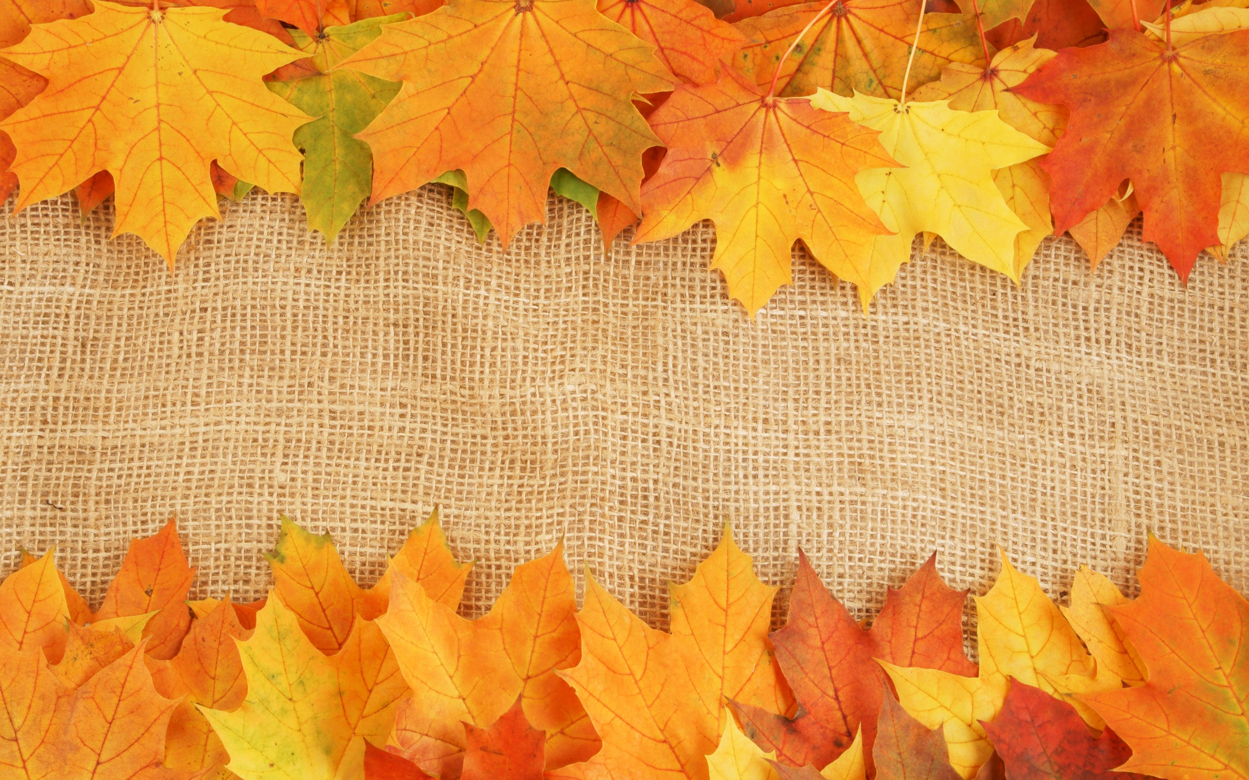 autumn background pictures #4