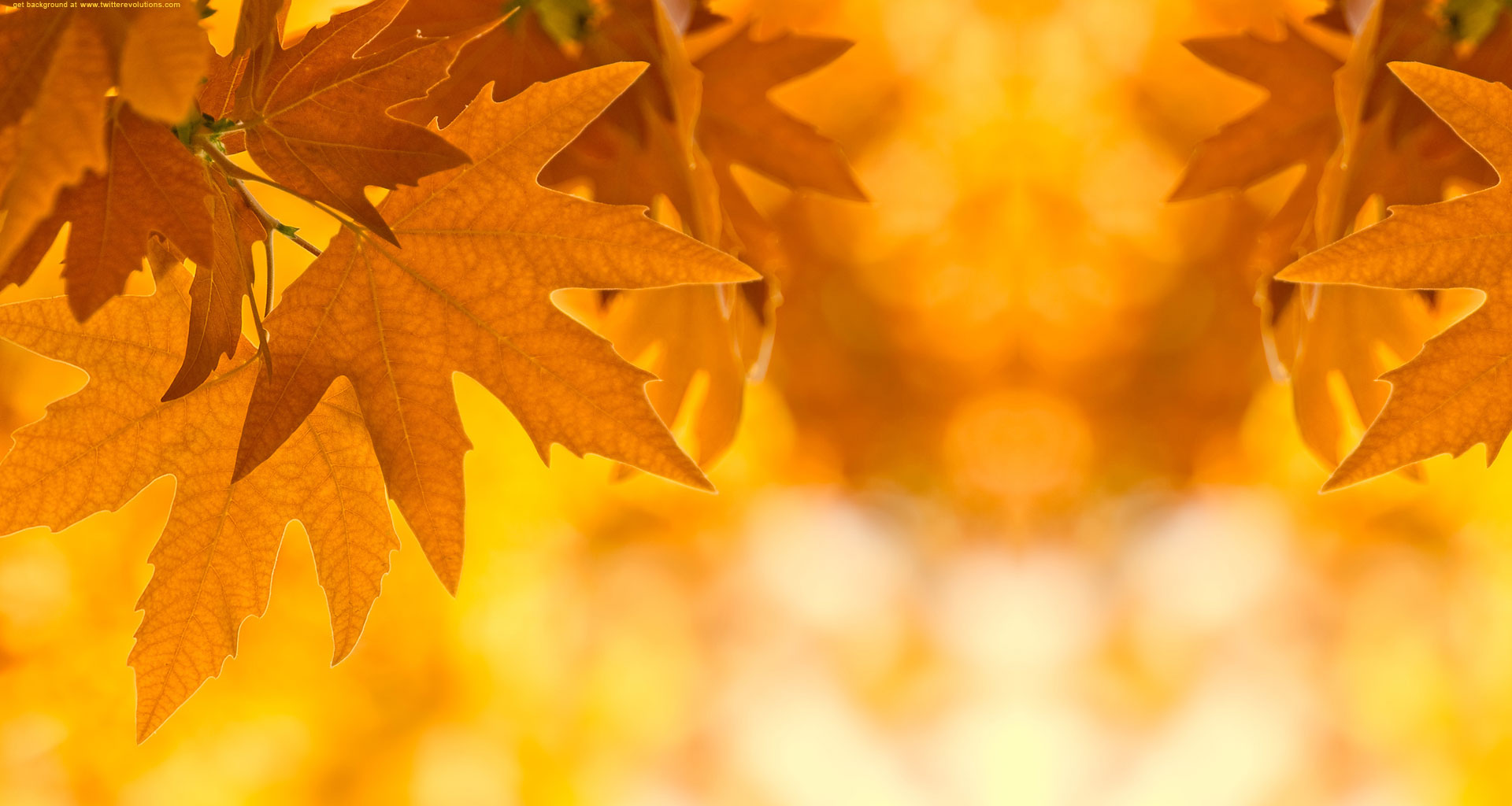 autumn background pictures #6