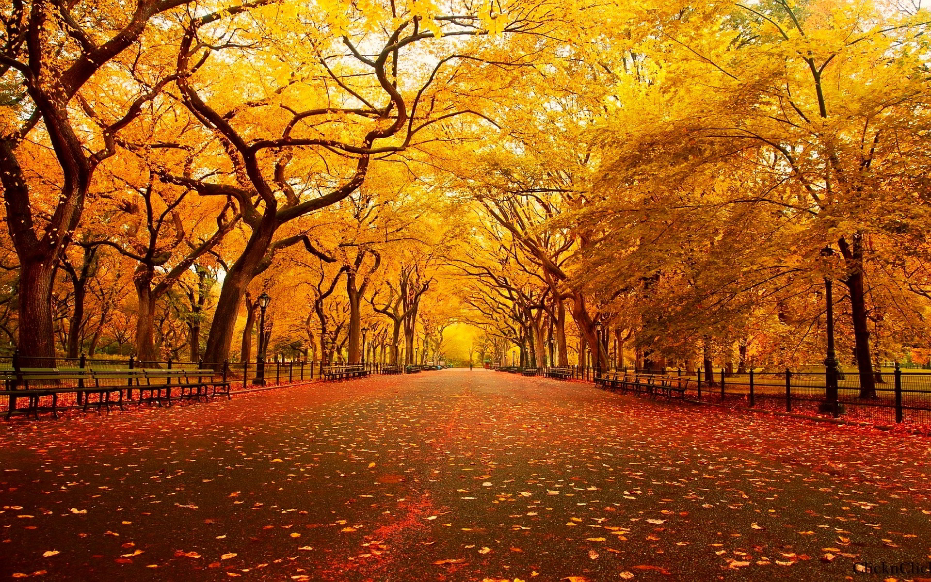 Backgrounds Autumn Group (81+)
