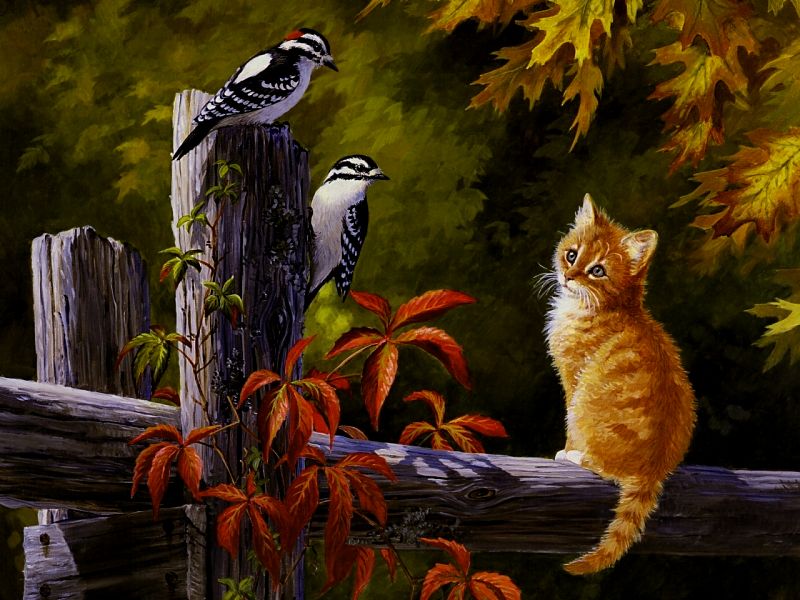 Autumn Cat Wallpaper | tianyihengfeng|Free Download High