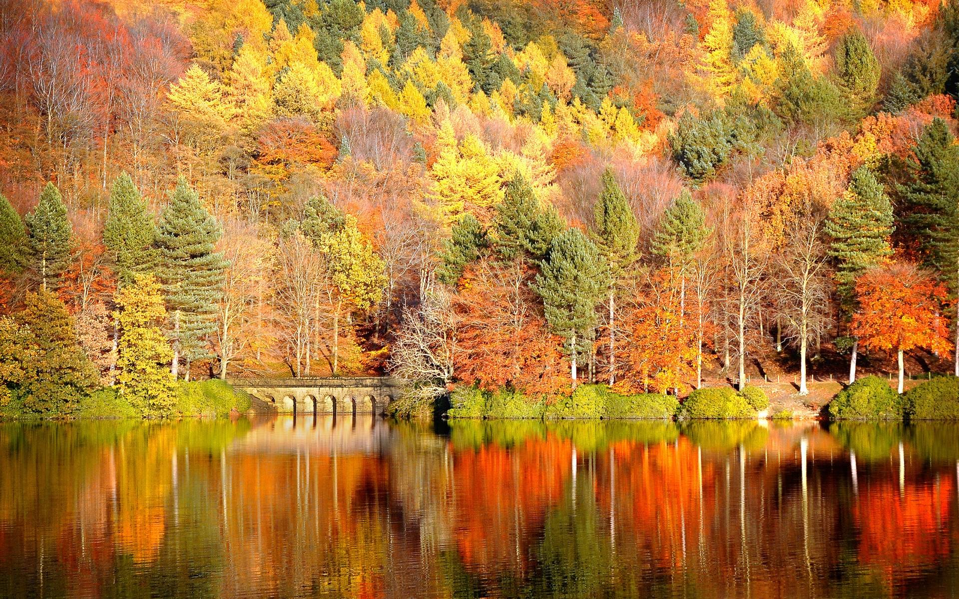 free autumn desktop wallpapers backgrounds #3