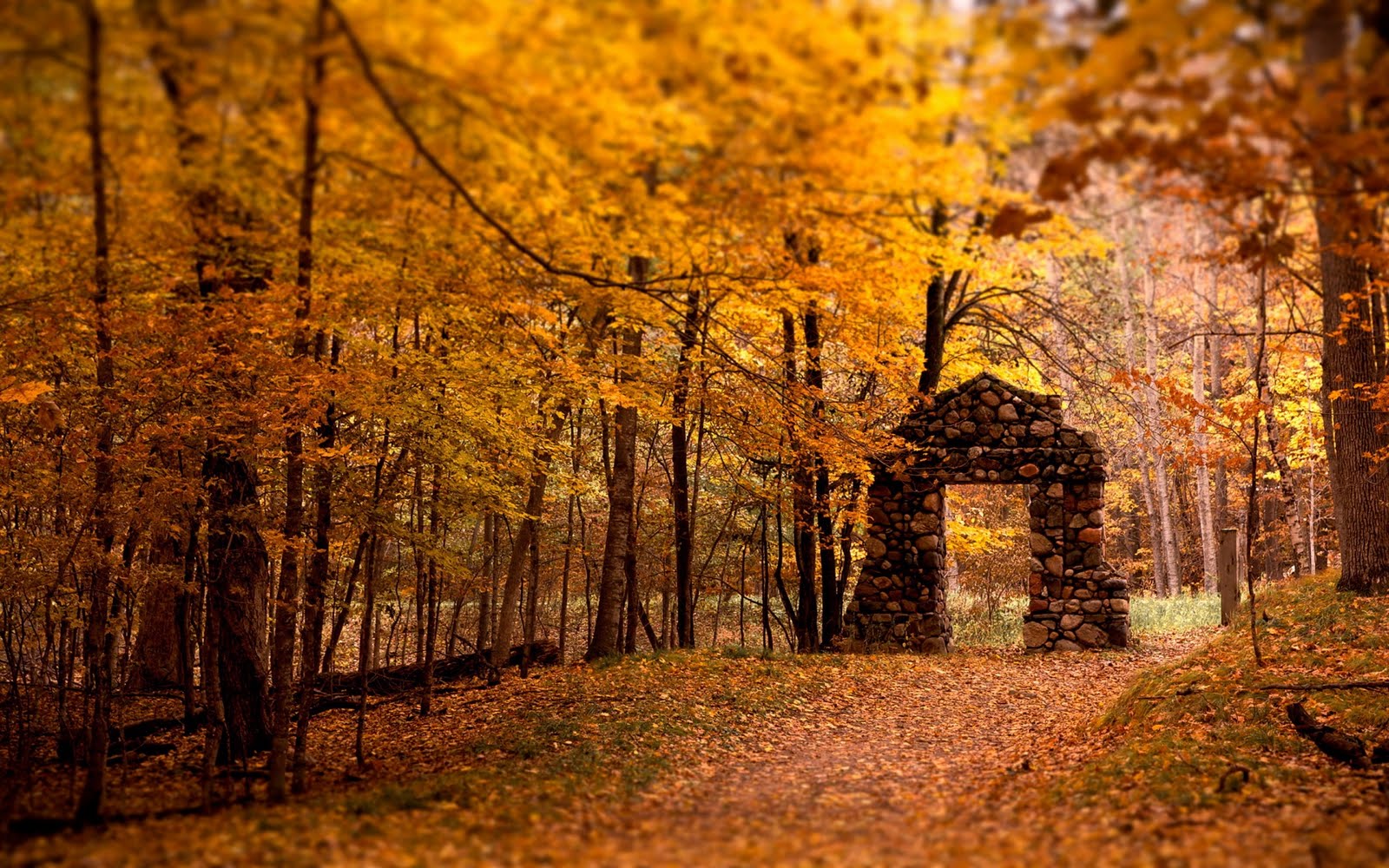 Collection of Fall Backgrounds Hd on HDWallpapers