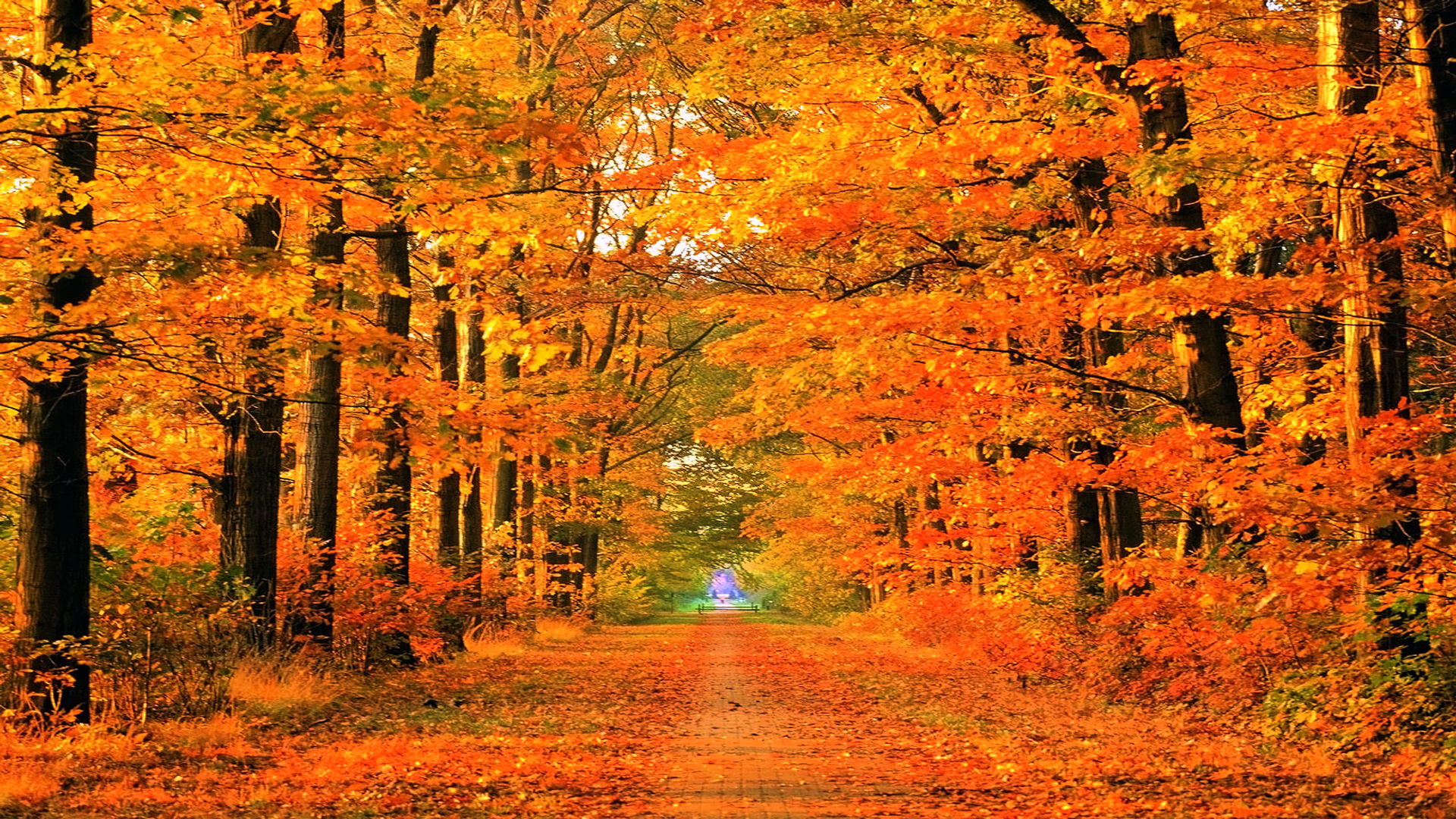autumn images desktop background #24