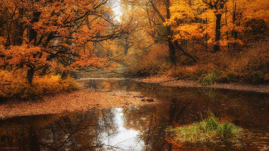 autumn images desktop background #8
