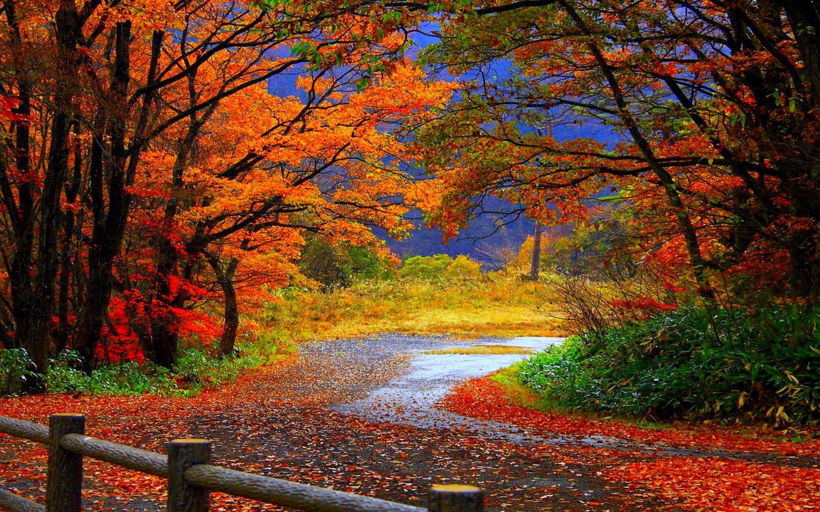 autumn images desktop background #20