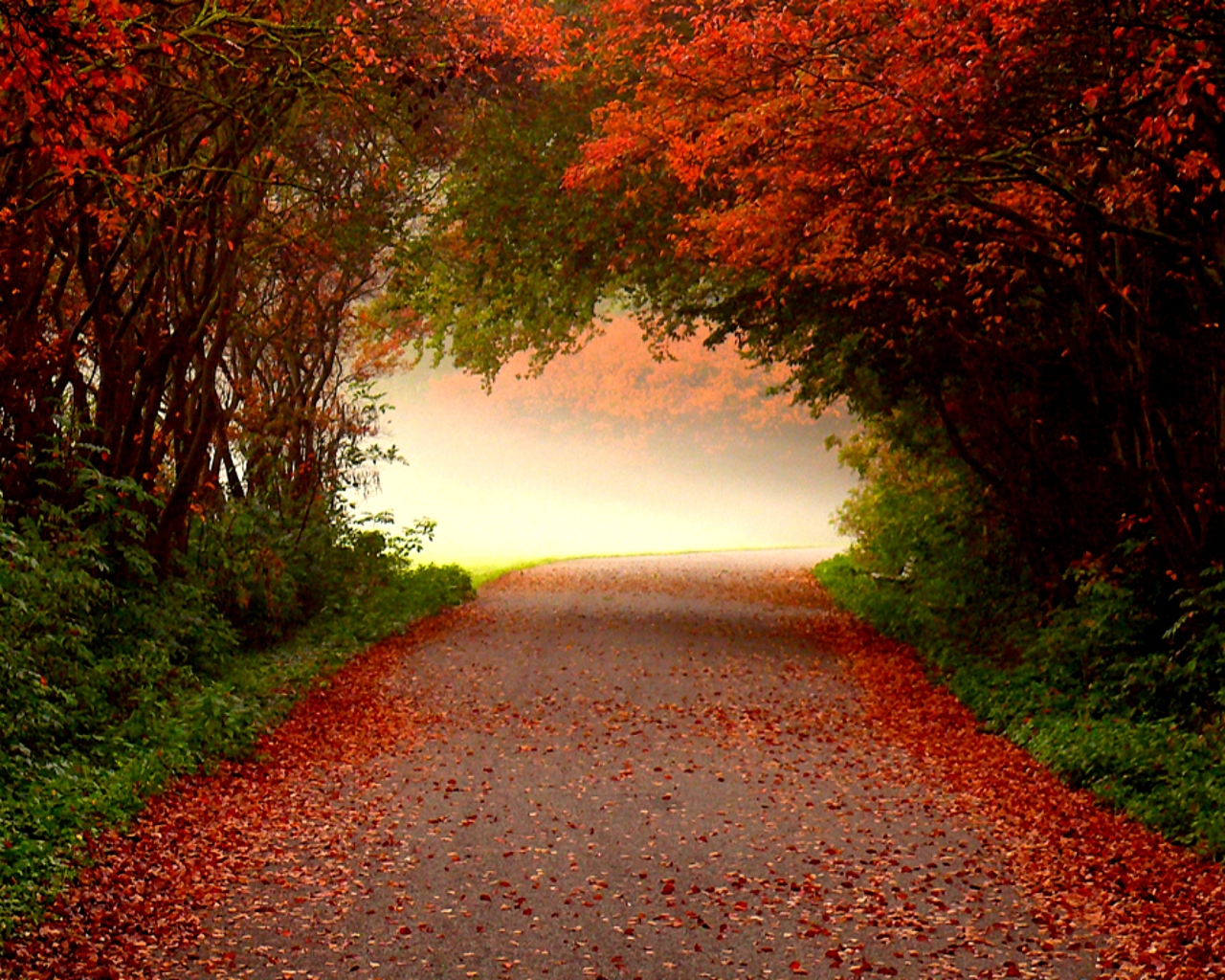 autumn images desktop background #16