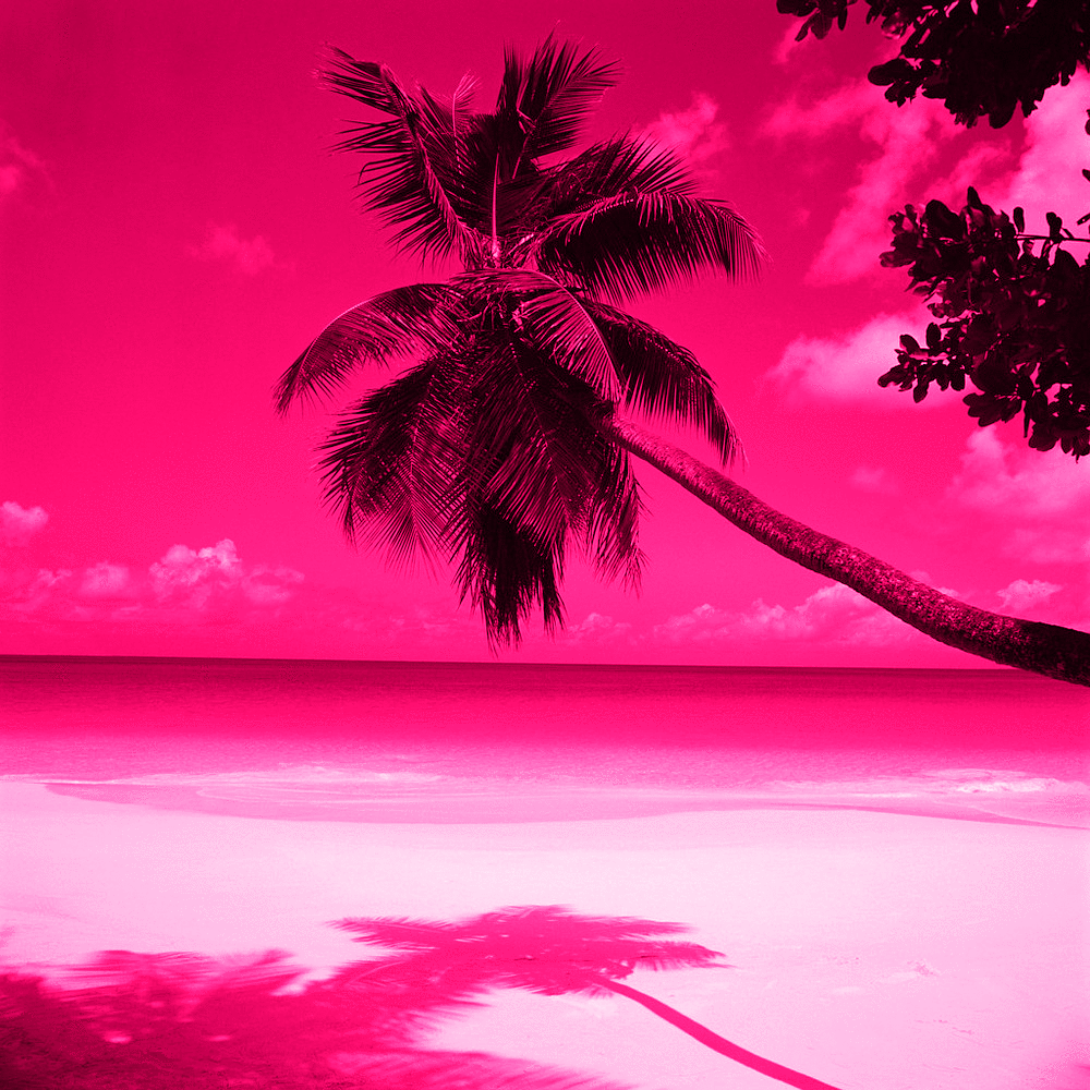 Awesome pink backgrounds