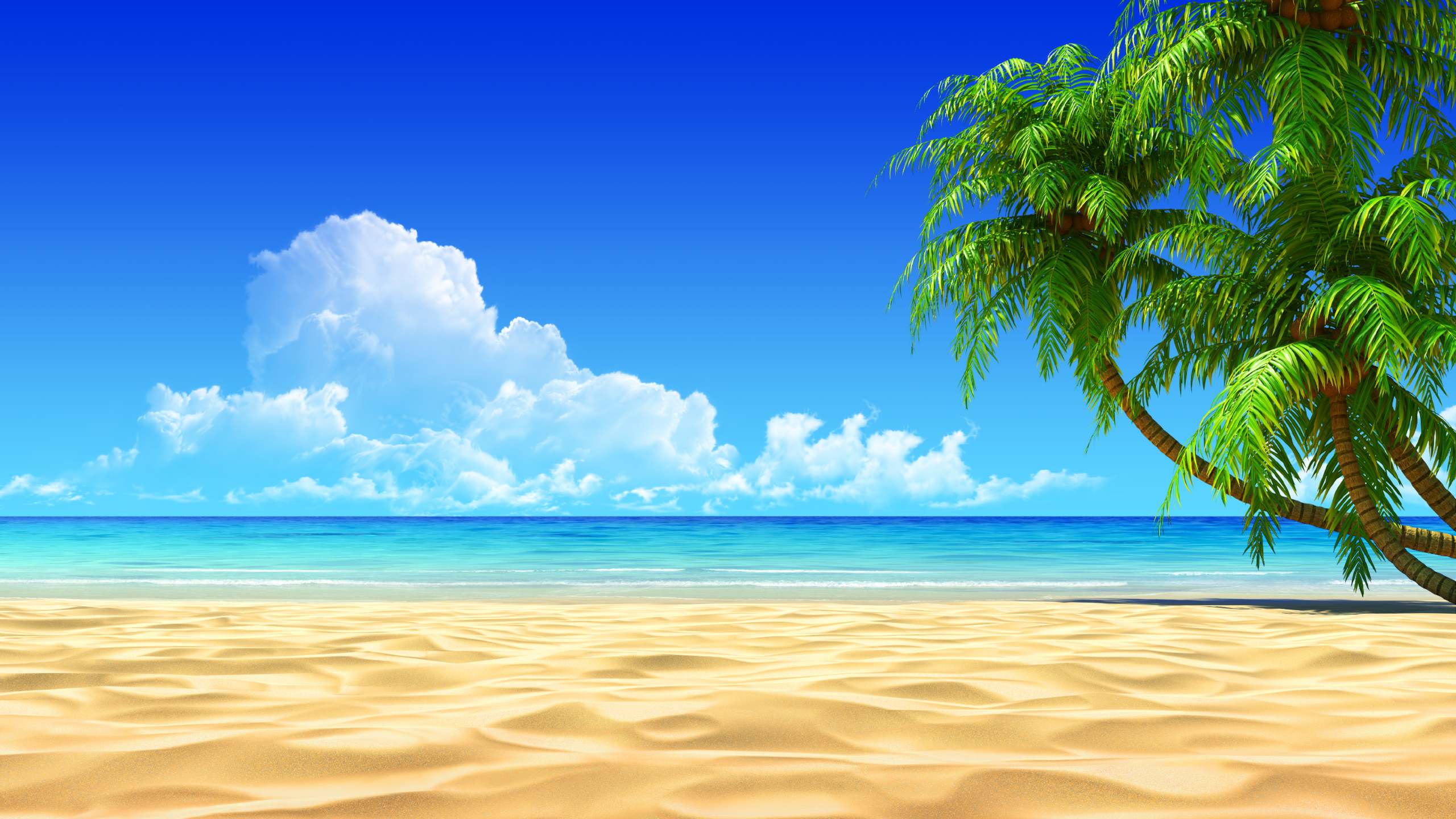 beach desktop wallpaper free #10