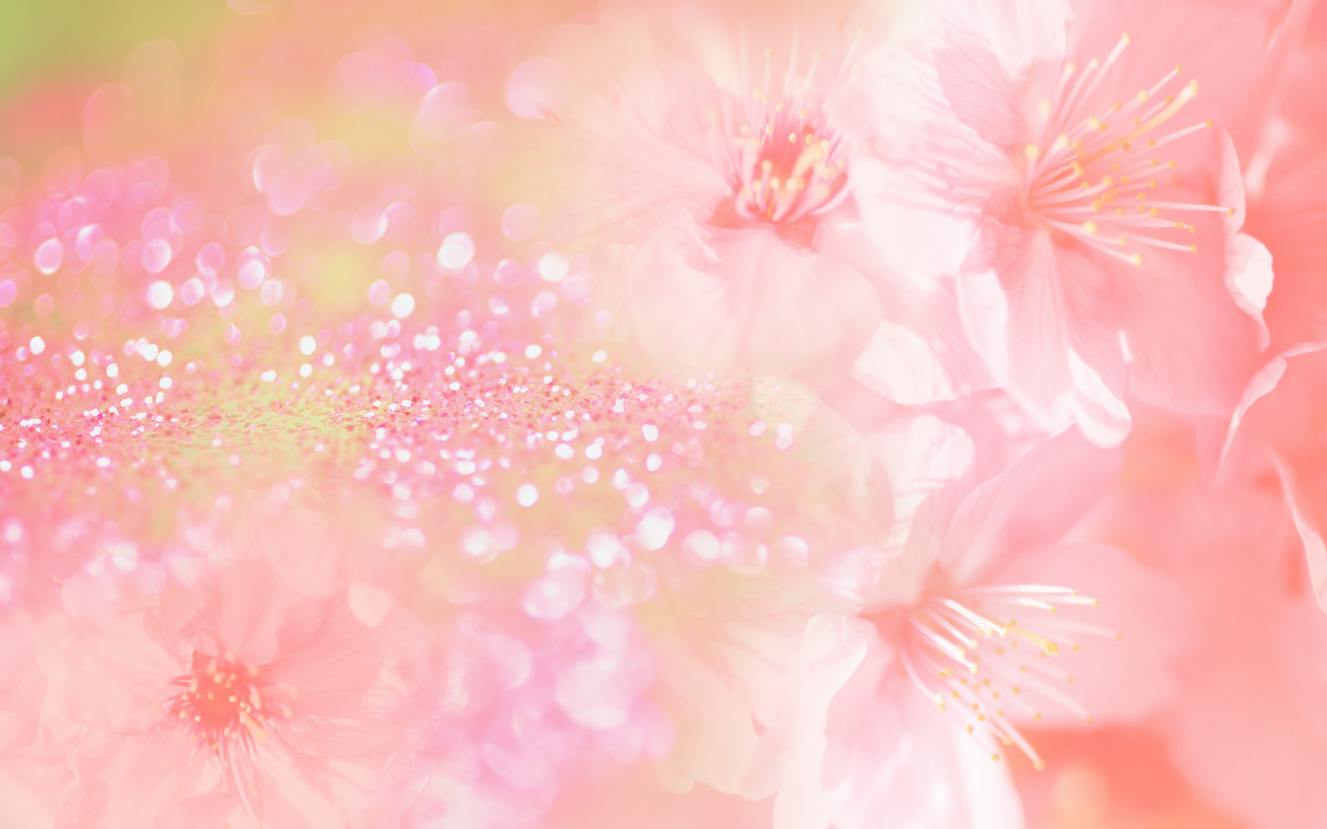 background images flowers pink #22