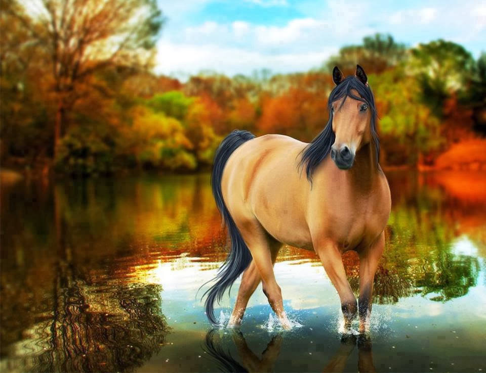 background pictures of horses #8