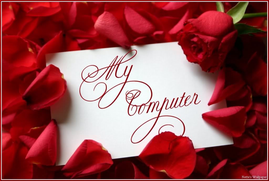Red rose desktop wallpaper