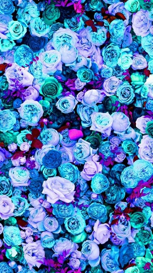 Blue and pink flower wallpaper
