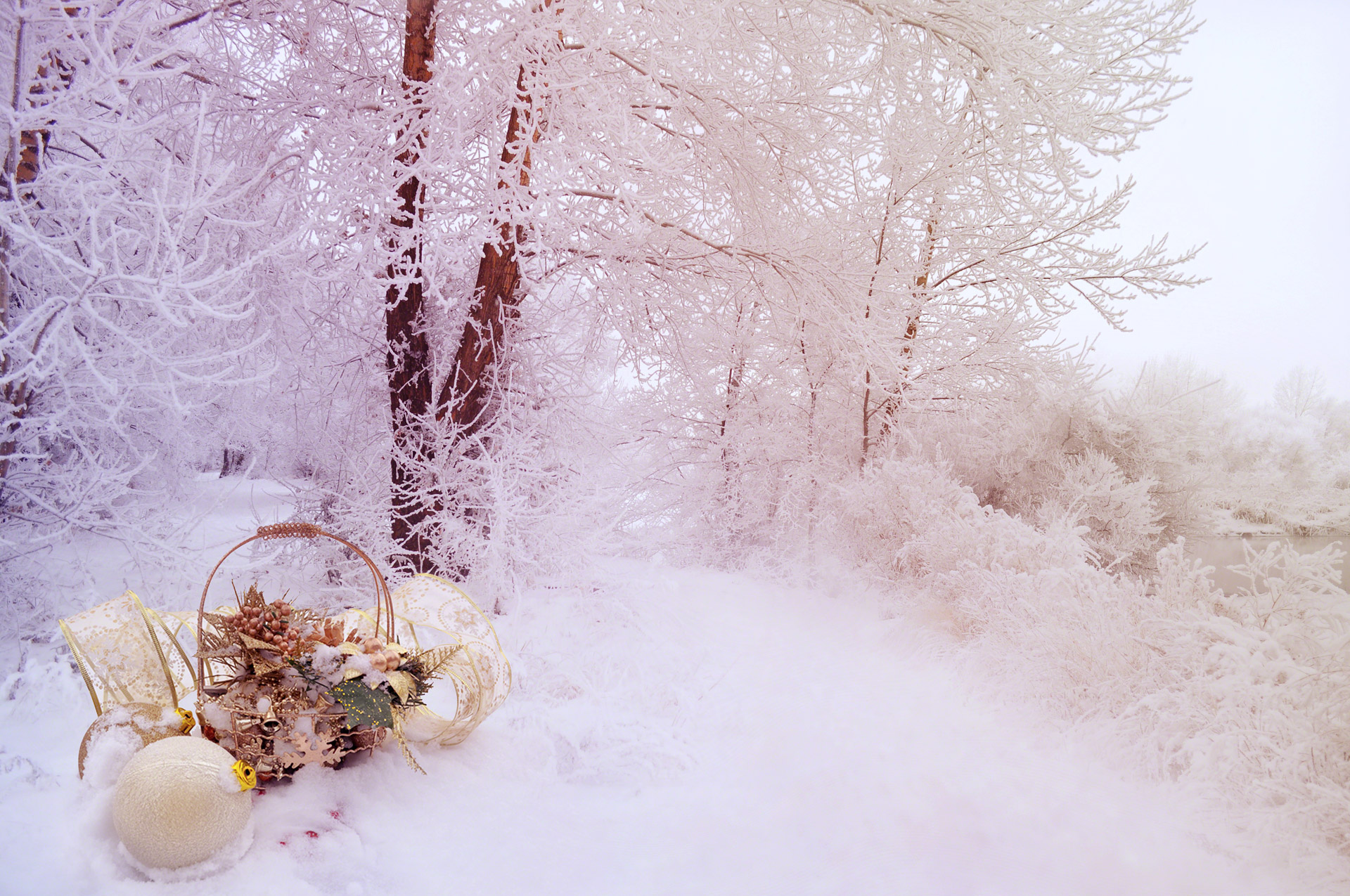 free winter background pictures #8