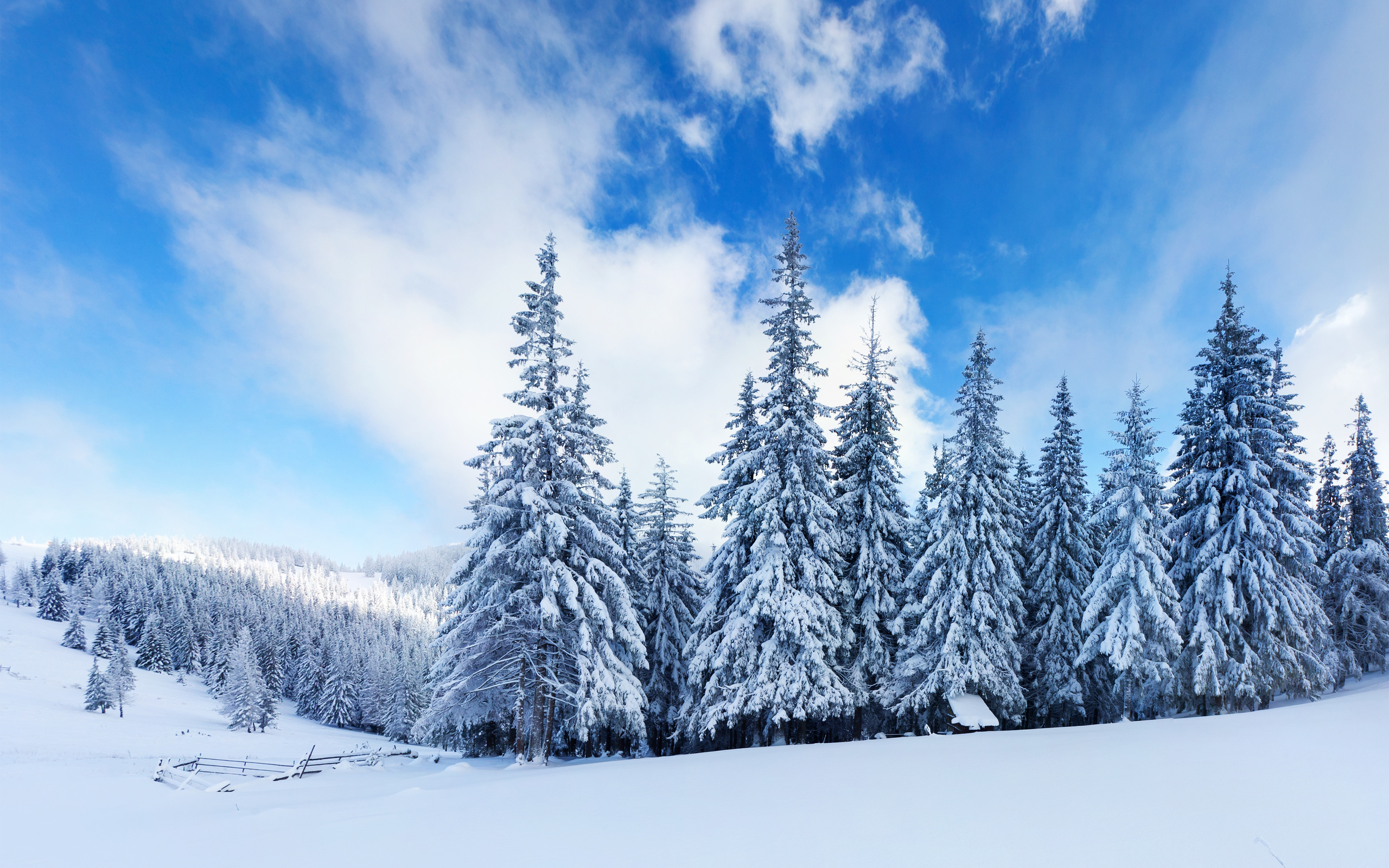 background winter images #24