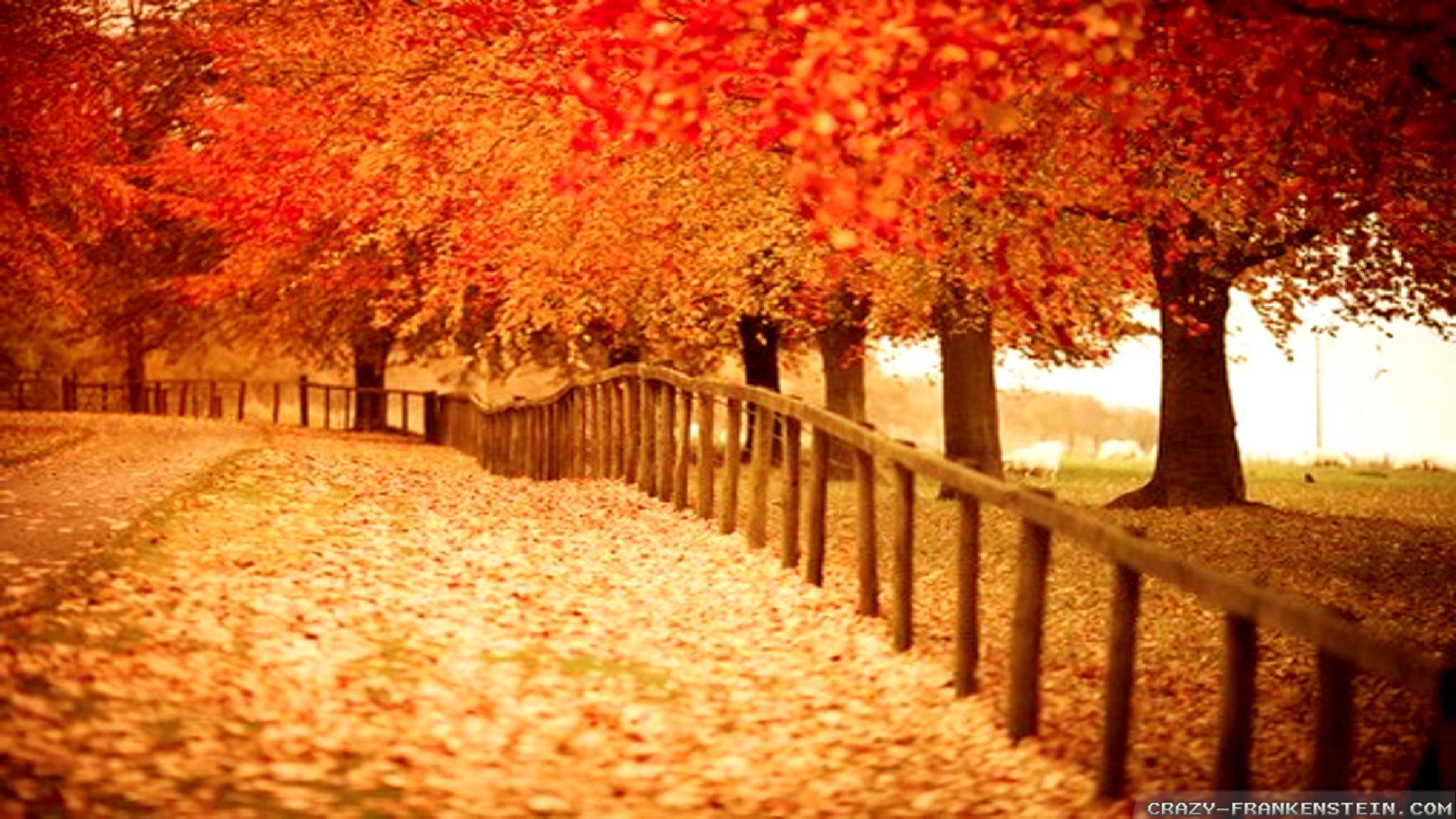 62 autumn desktop backgrounds free Pictures