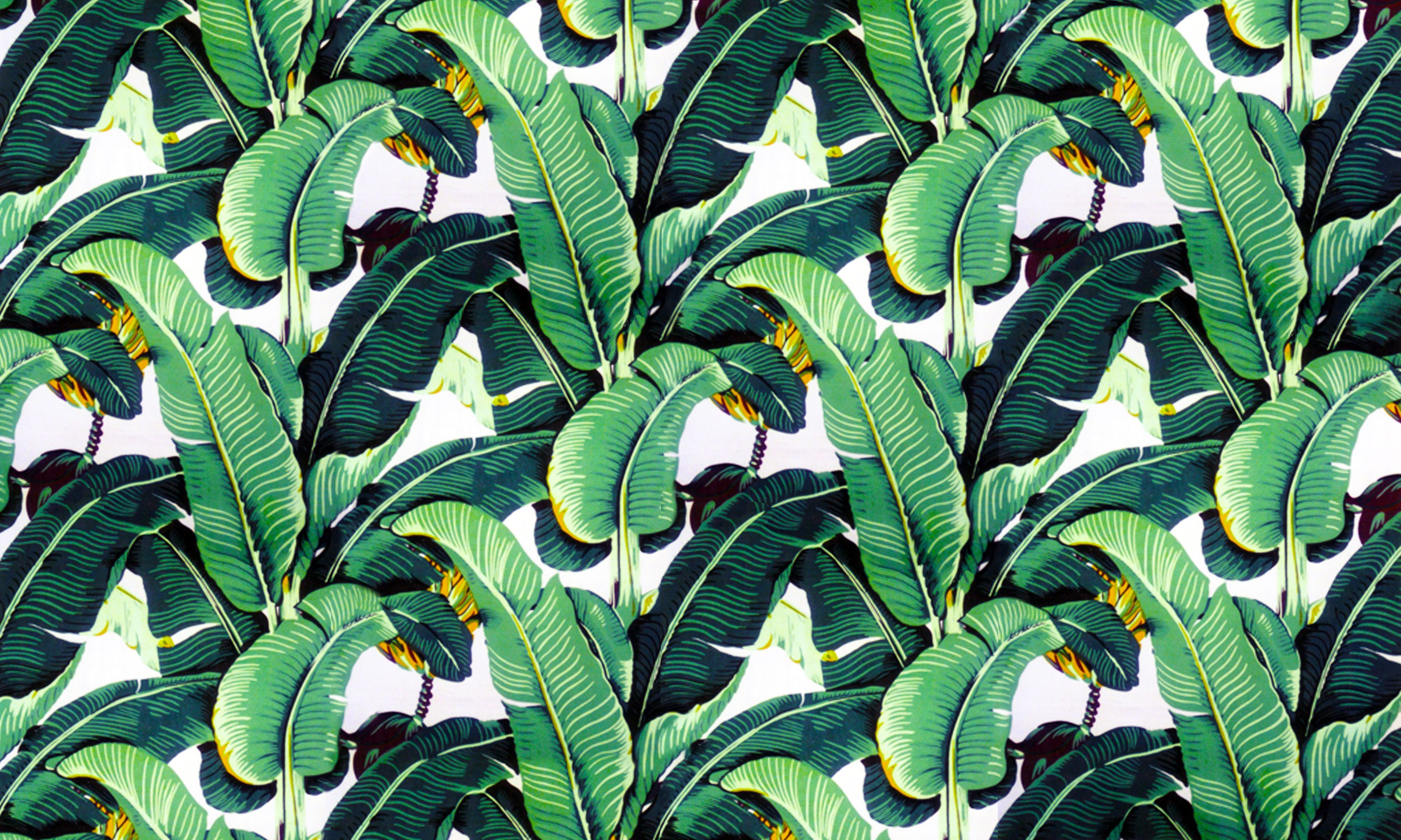 Banana leaf wallpaper