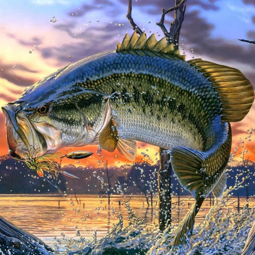 Bass fishing wallpaper