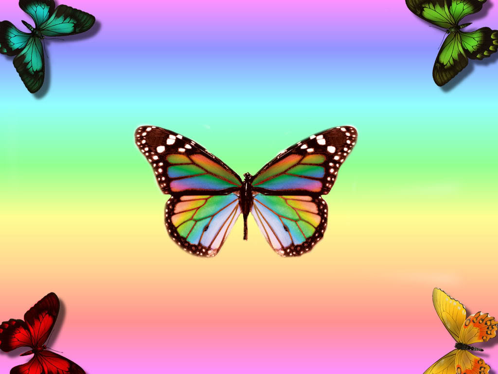 butterfly wallpapers free download #9