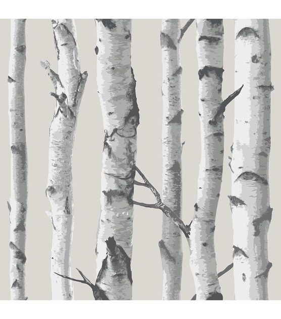 Birch tree wallpaper