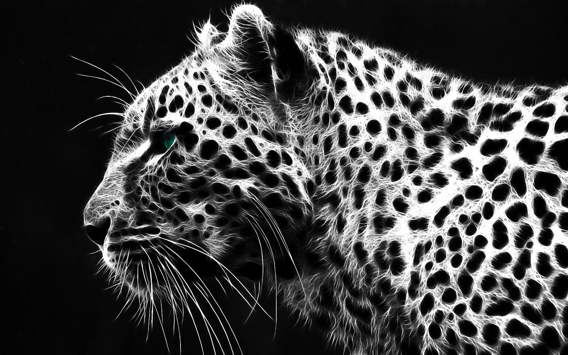 black and white cheetah wallpaper #22