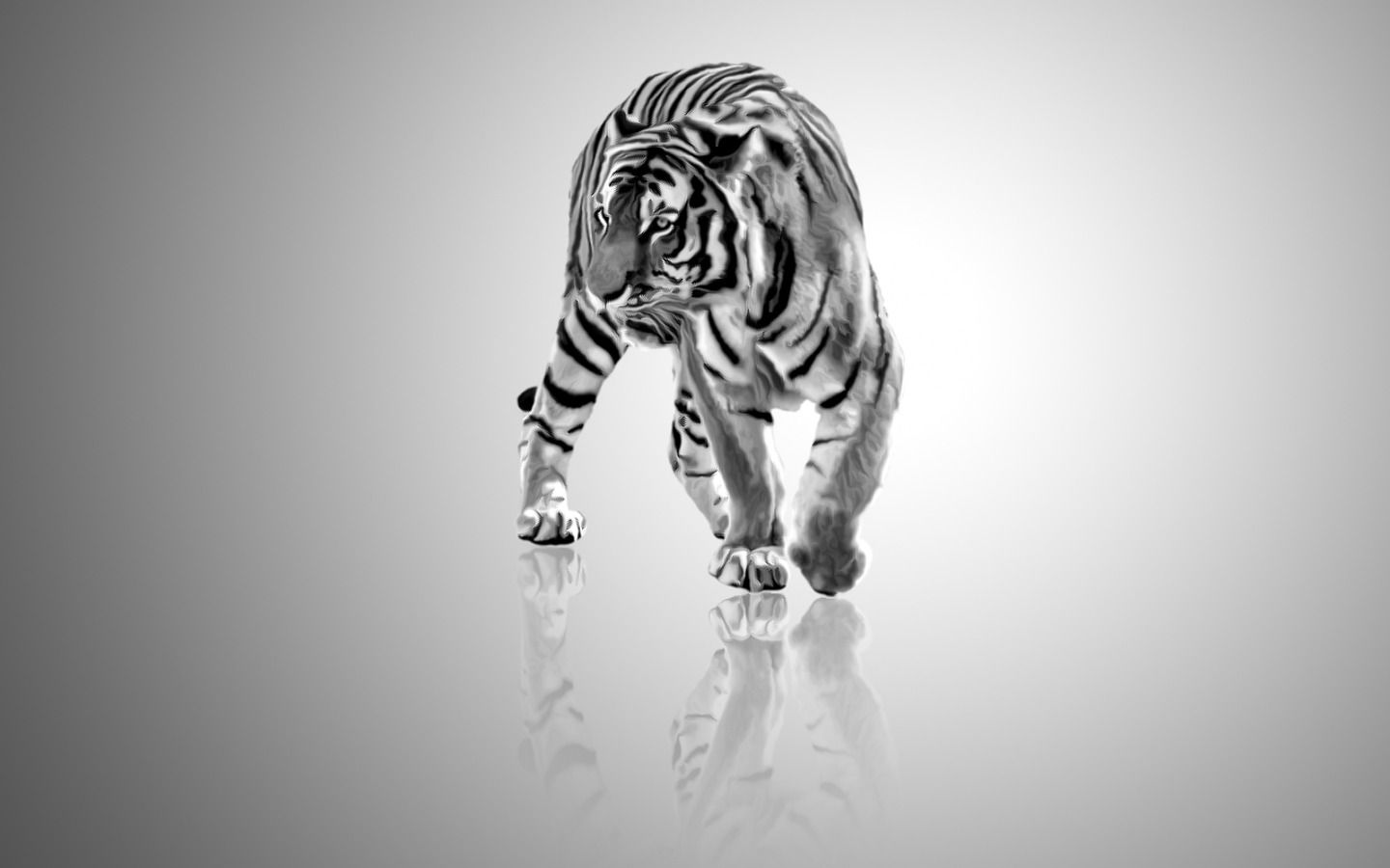 black and white tiger wallpaper #11
