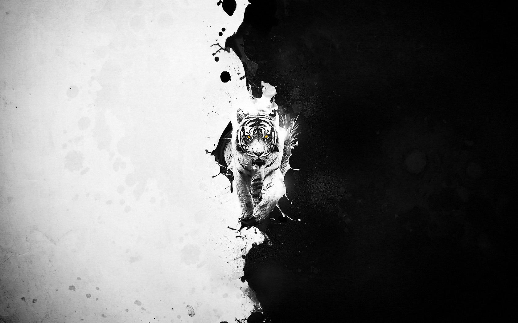 black and white tiger wallpaper #23