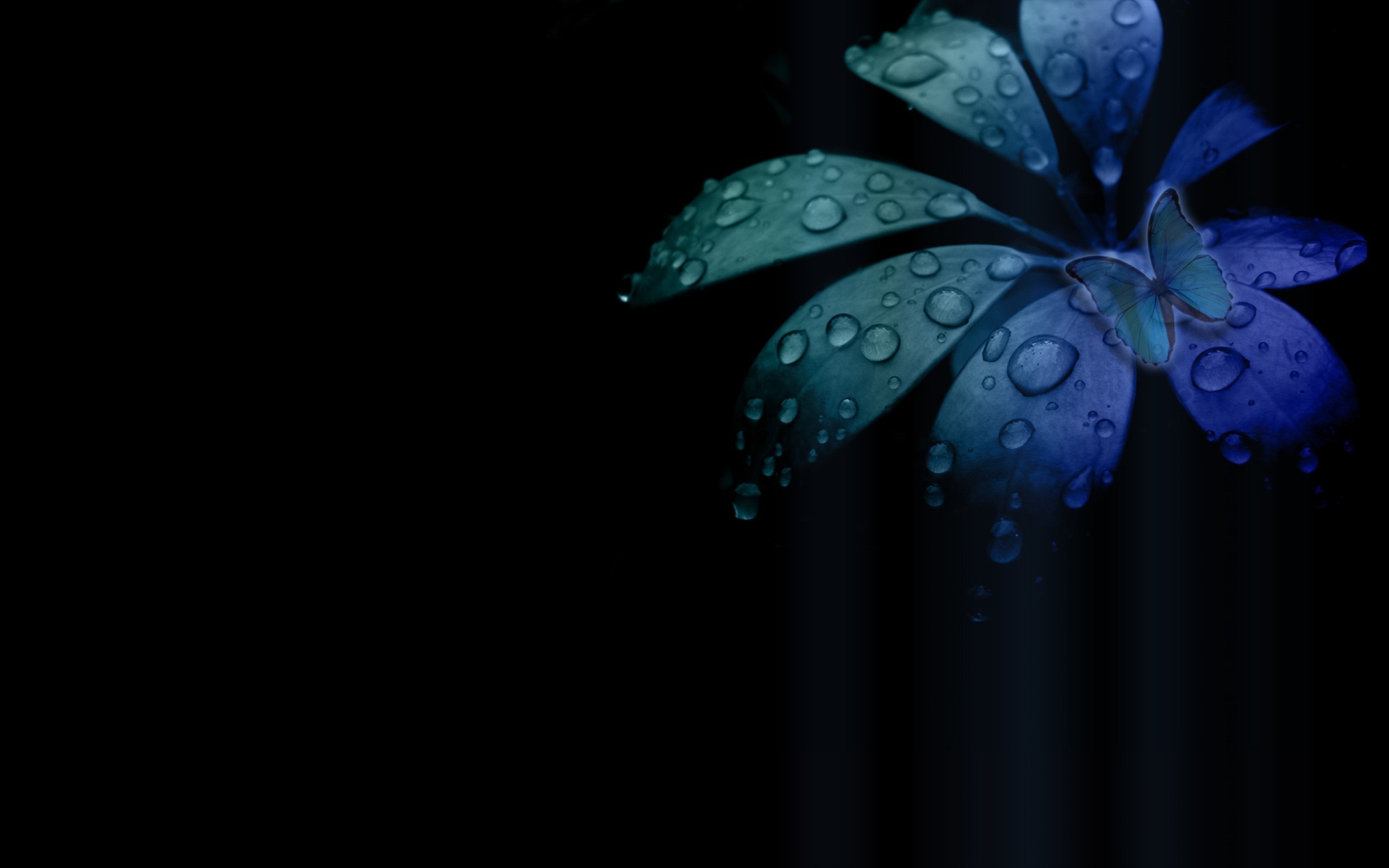 Black background hd wallpapers