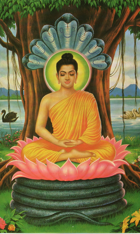 Buddha wallpaper download
