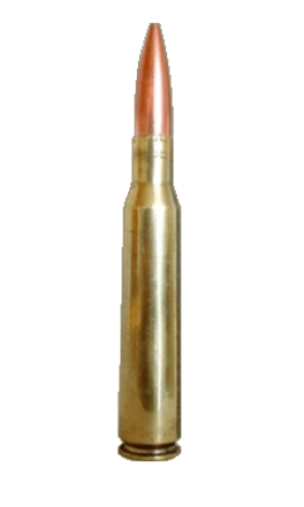 Bullet image