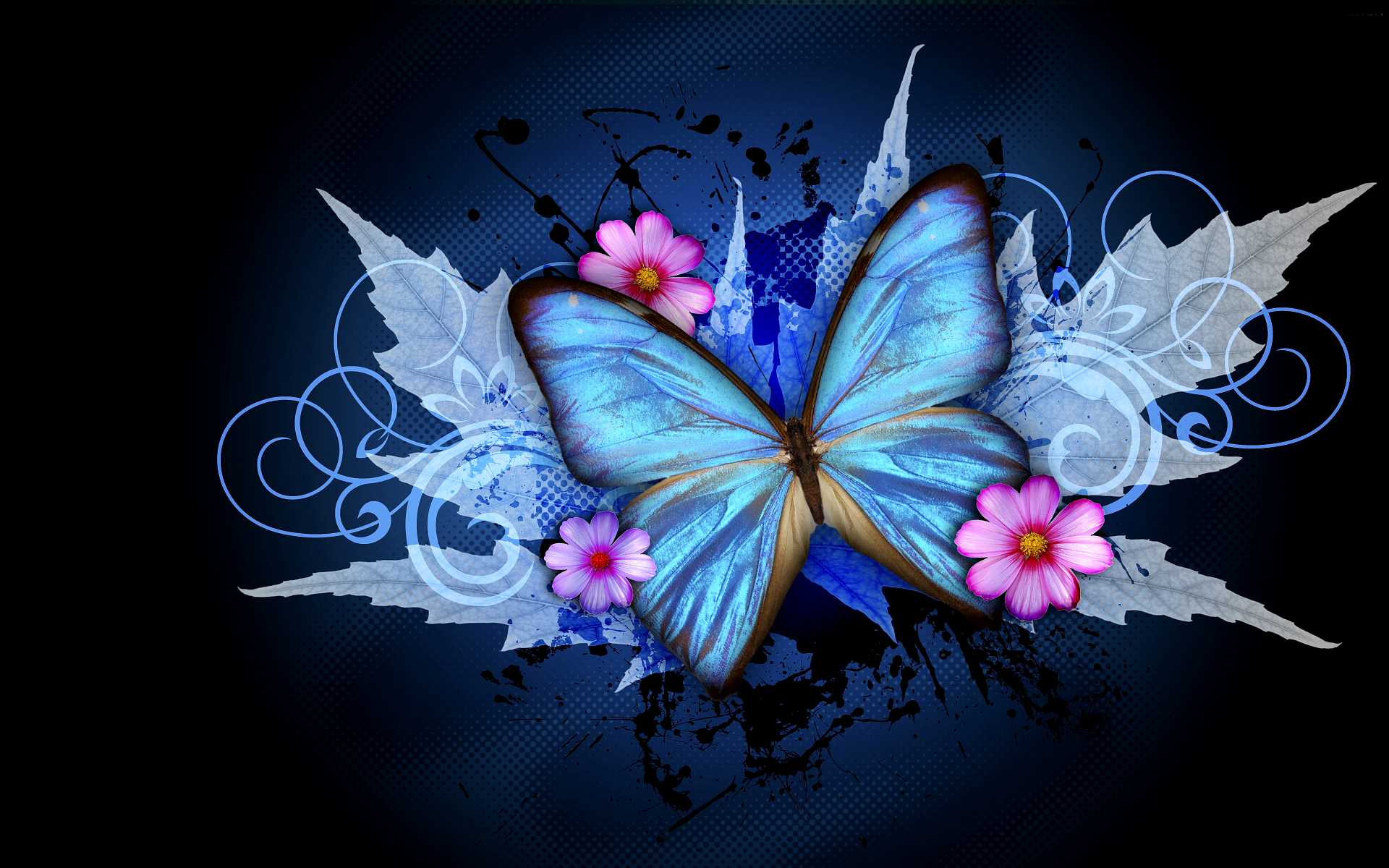 Butterfly wallpapers free download