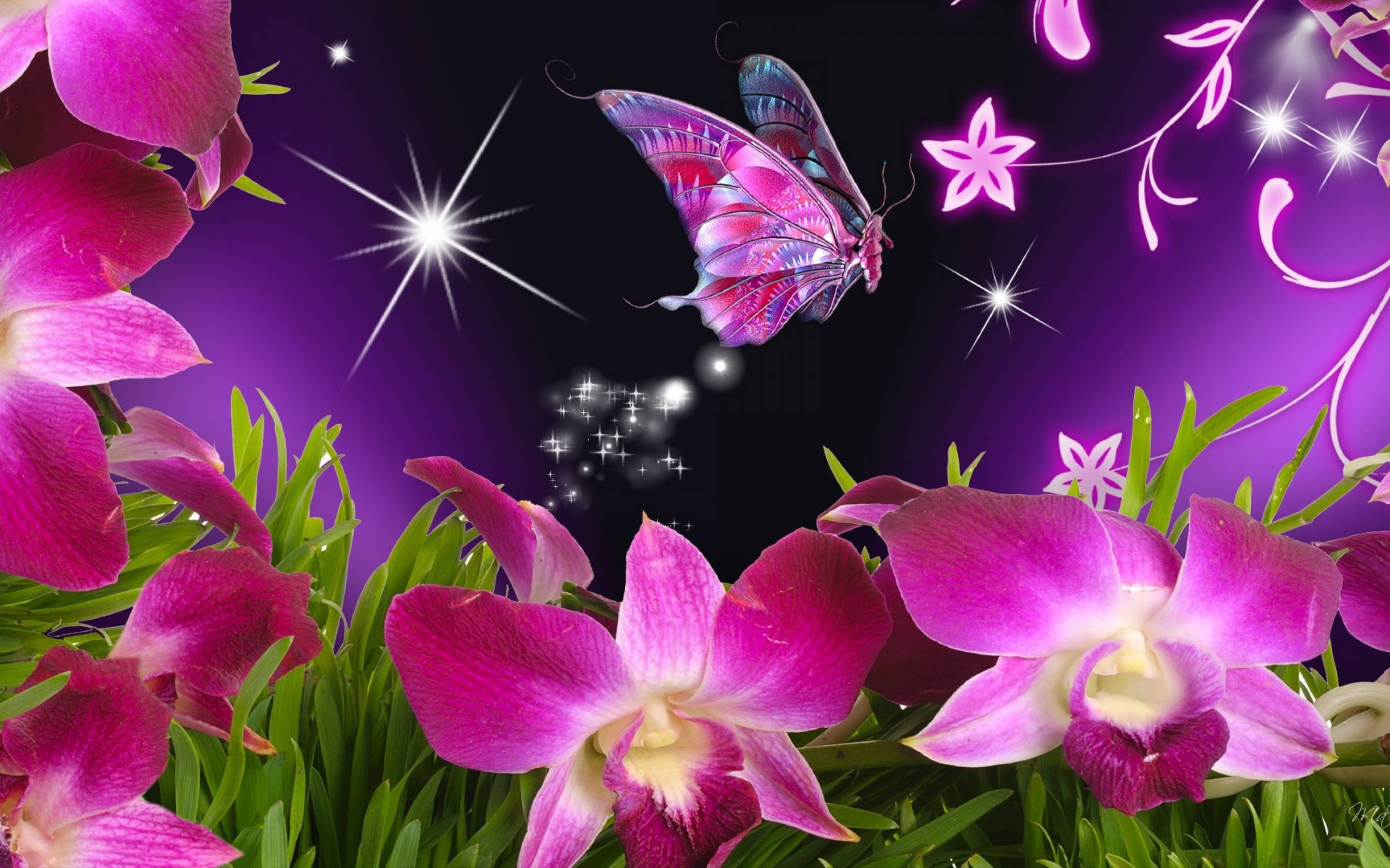 butterfly wallpapers free download #20