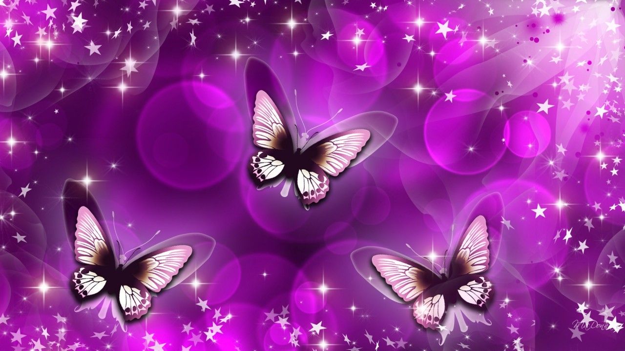 butterfly wallpapers free download #6