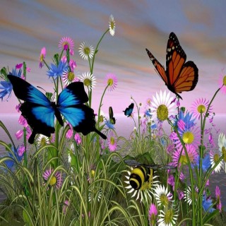 butterfly wallpapers free download #2