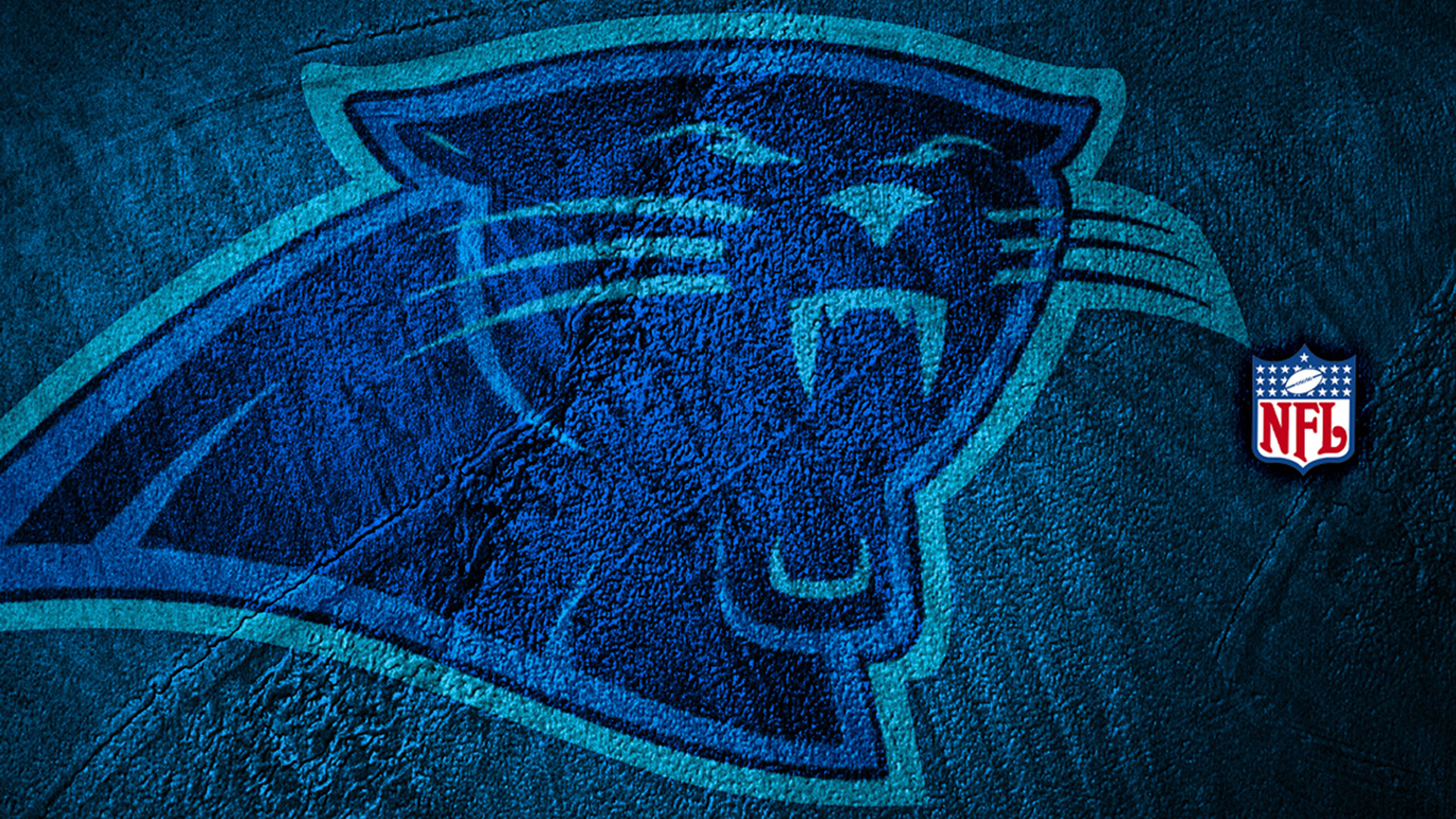 33 Carolina Panthers HD Wallpapers | Backgrounds - Wallpaper Abyss