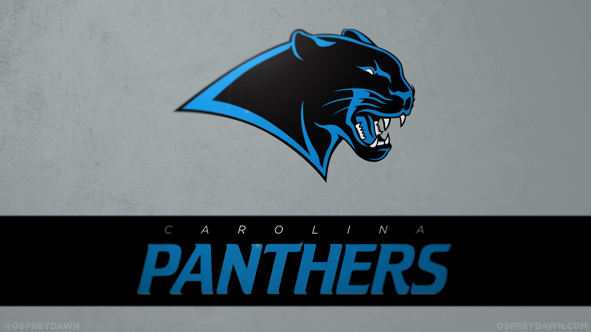 Carolina Panthers Wallpaper - HD Wallpapers Backgrounds of Your Choice